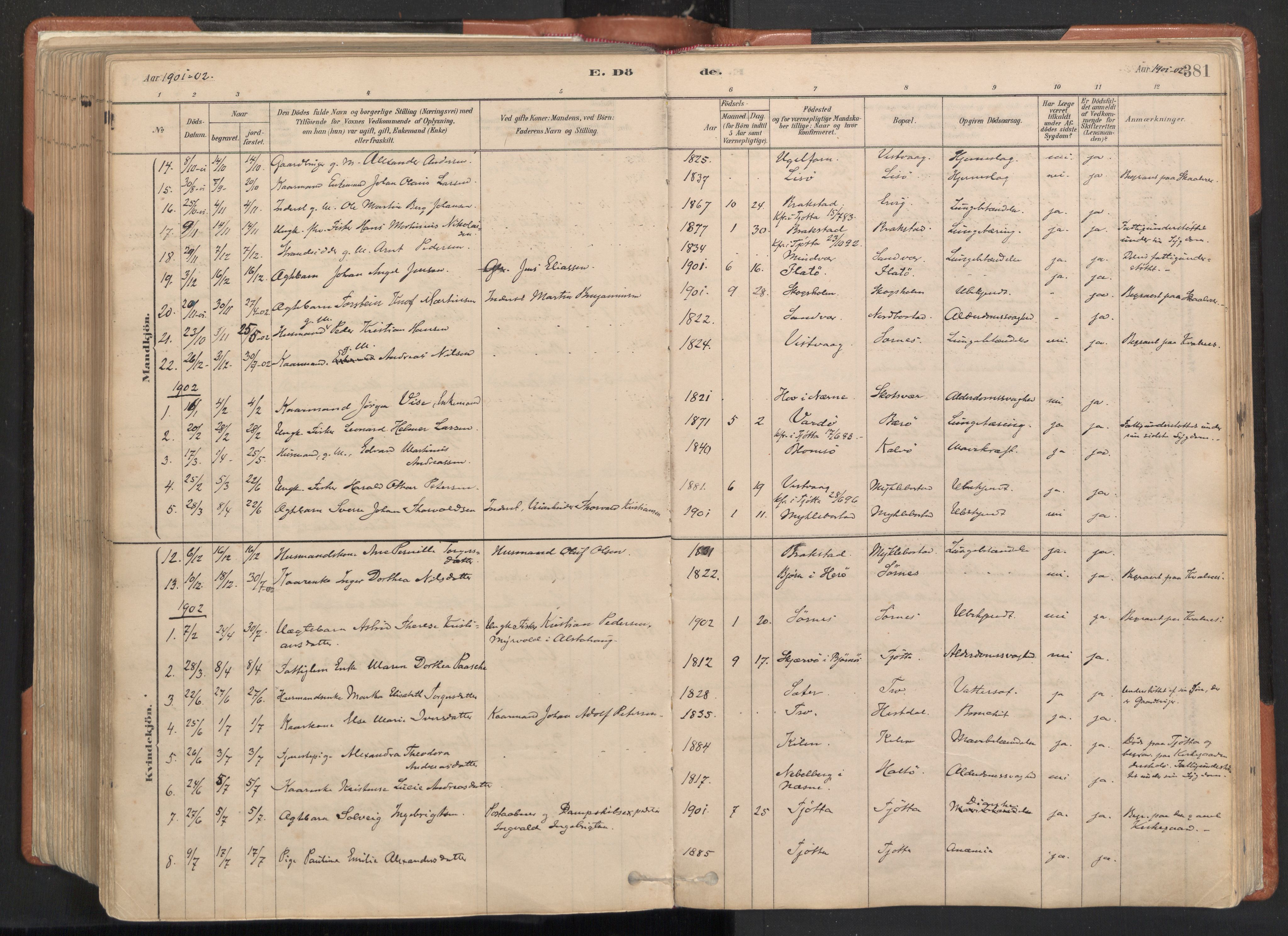Ministerialprotokoller, klokkerbøker og fødselsregistre - Nordland, SAT/A-1459/817/L0264: Parish register (official) no. 817A04, 1878-1907, p. 381