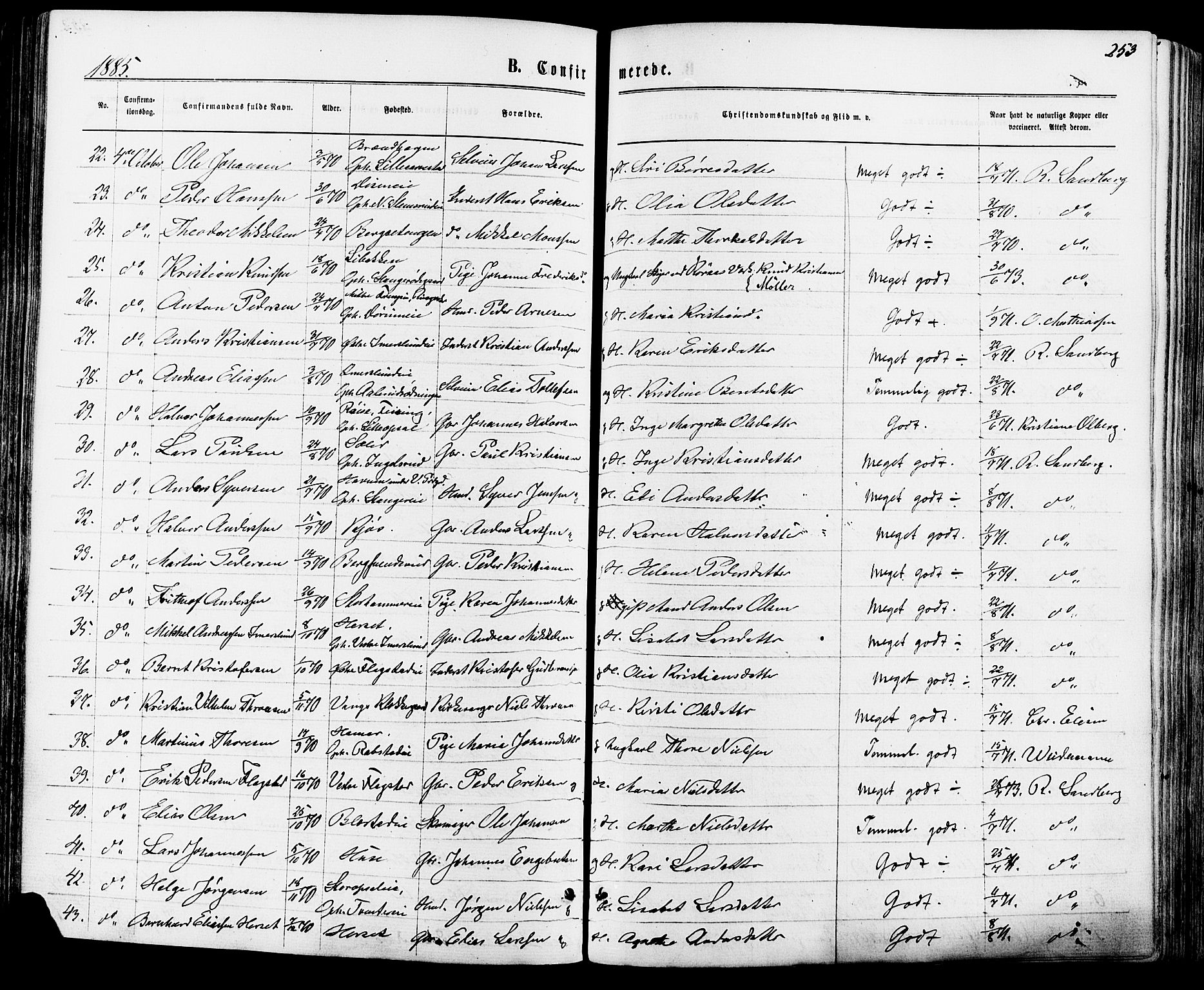 Vang prestekontor, Hedmark, AV/SAH-PREST-008/H/Ha/Haa/L0015: Parish register (official) no. 15, 1871-1885, p. 253