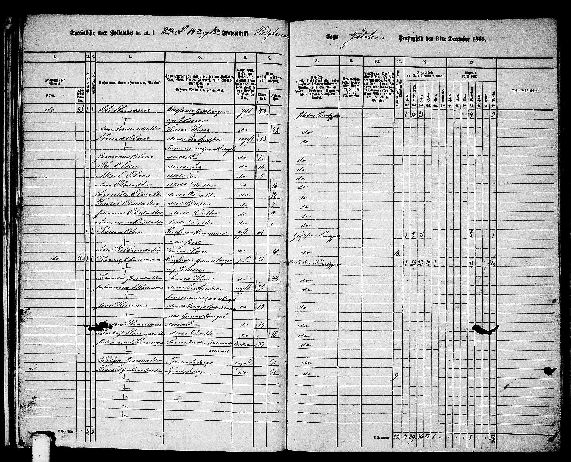 RA, 1865 census for Jølster, 1865, p. 39