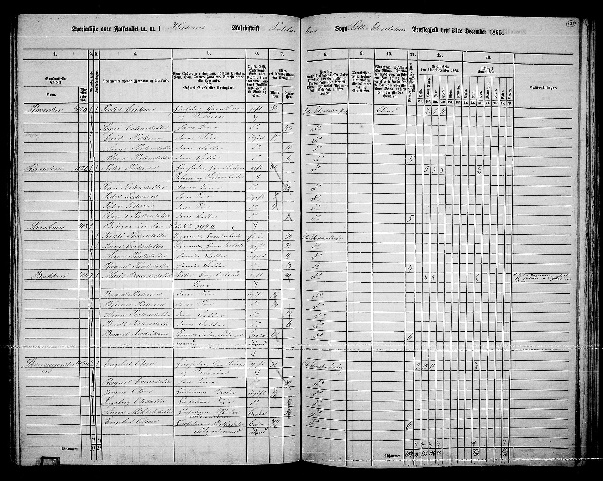 RA, 1865 census for Lille Elvedalen, 1865, p. 119