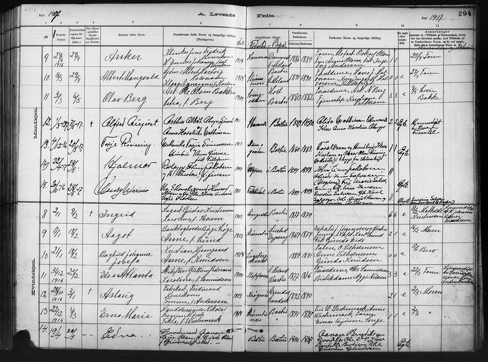 Barbu sokneprestkontor, SAK/1111-0003/F/Fb/L0002: Parish register (copy) no. B 2, 1890-1922, p. 294