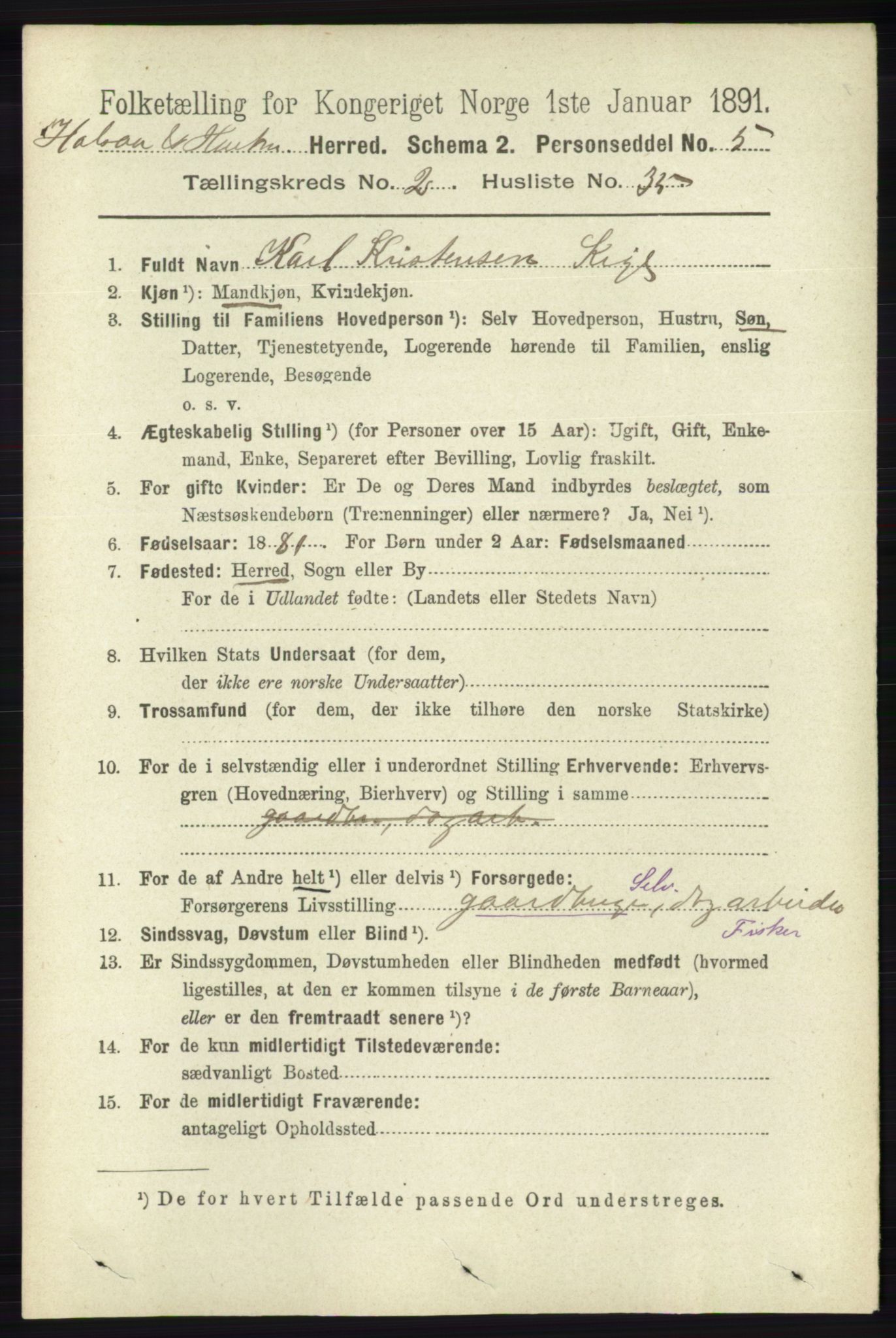 RA, 1891 census for 1019 Halse og Harkmark, 1891, p. 705