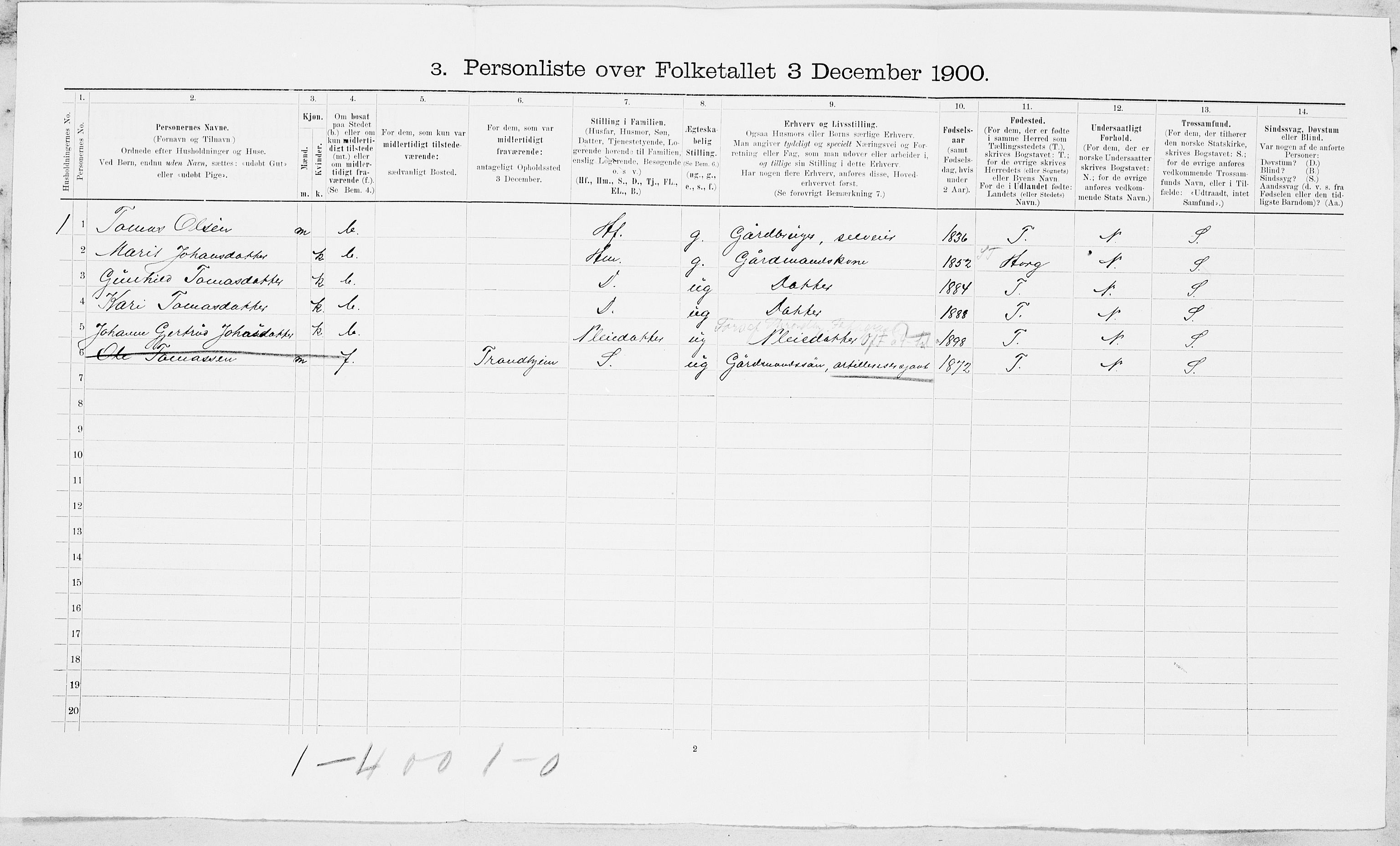 SAT, 1900 census for Melhus, 1900, p. 21