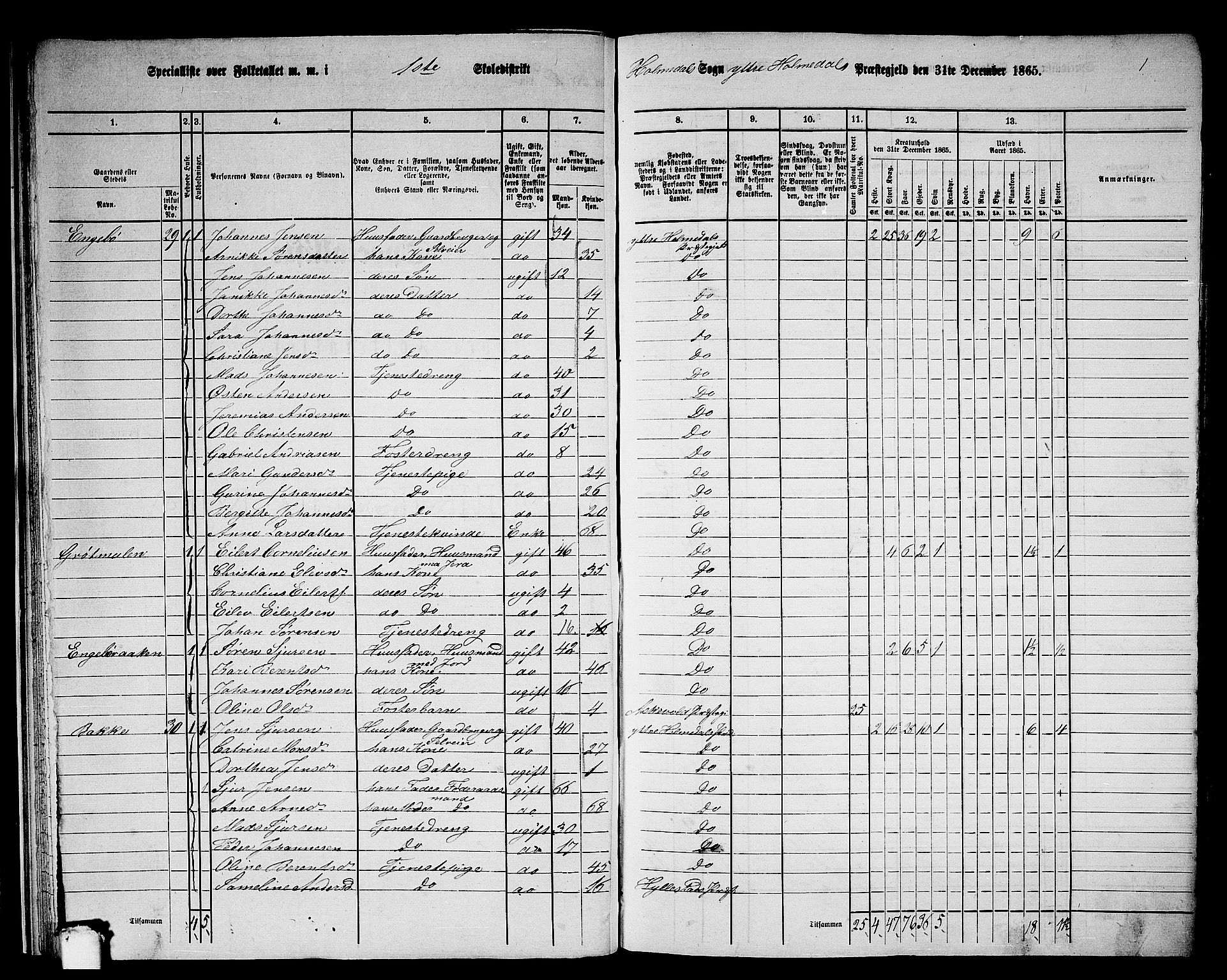 RA, 1865 census for Ytre Holmedal, 1865, p. 25