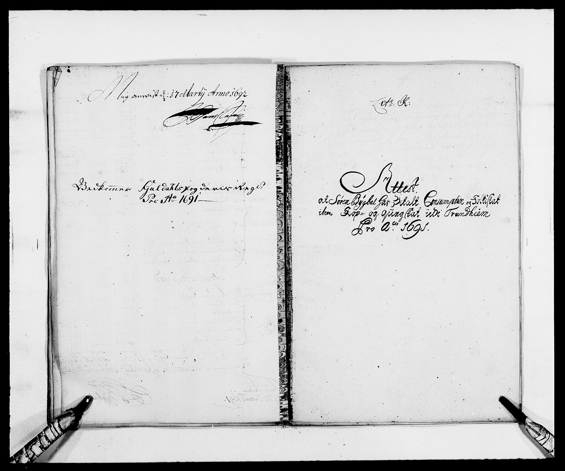 Rentekammeret inntil 1814, Reviderte regnskaper, Fogderegnskap, RA/EA-4092/R59/L3941: Fogderegnskap Gauldal, 1691, p. 113