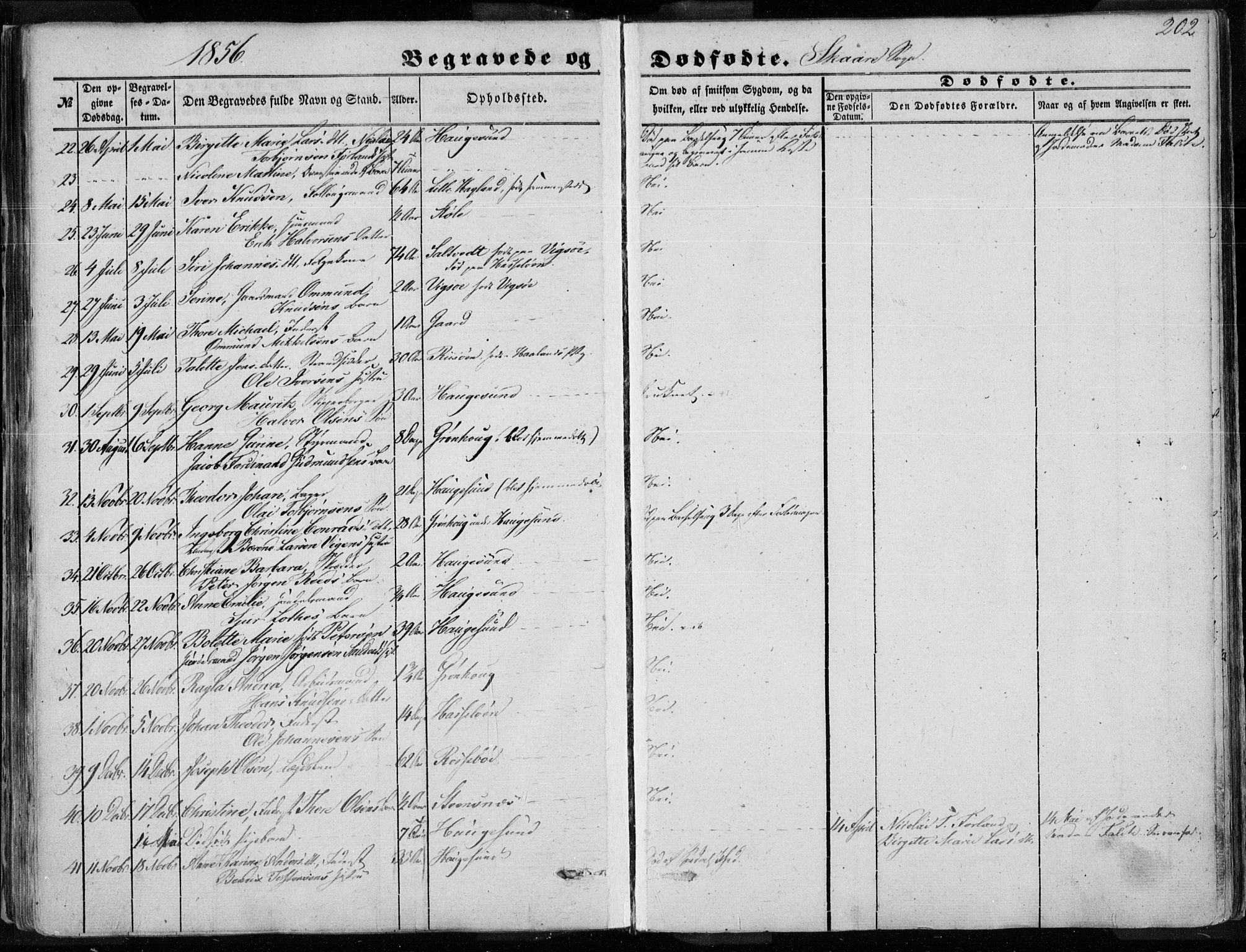 Torvastad sokneprestkontor, AV/SAST-A -101857/H/Ha/Haa/L0009: Parish register (official) no. A 9, 1847-1856, p. 202