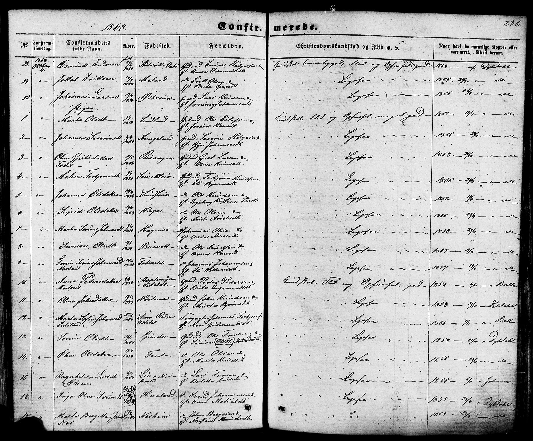 Skjold sokneprestkontor, SAST/A-101847/H/Ha/Haa/L0008: Parish register (official) no. A 8, 1856-1882, p. 236