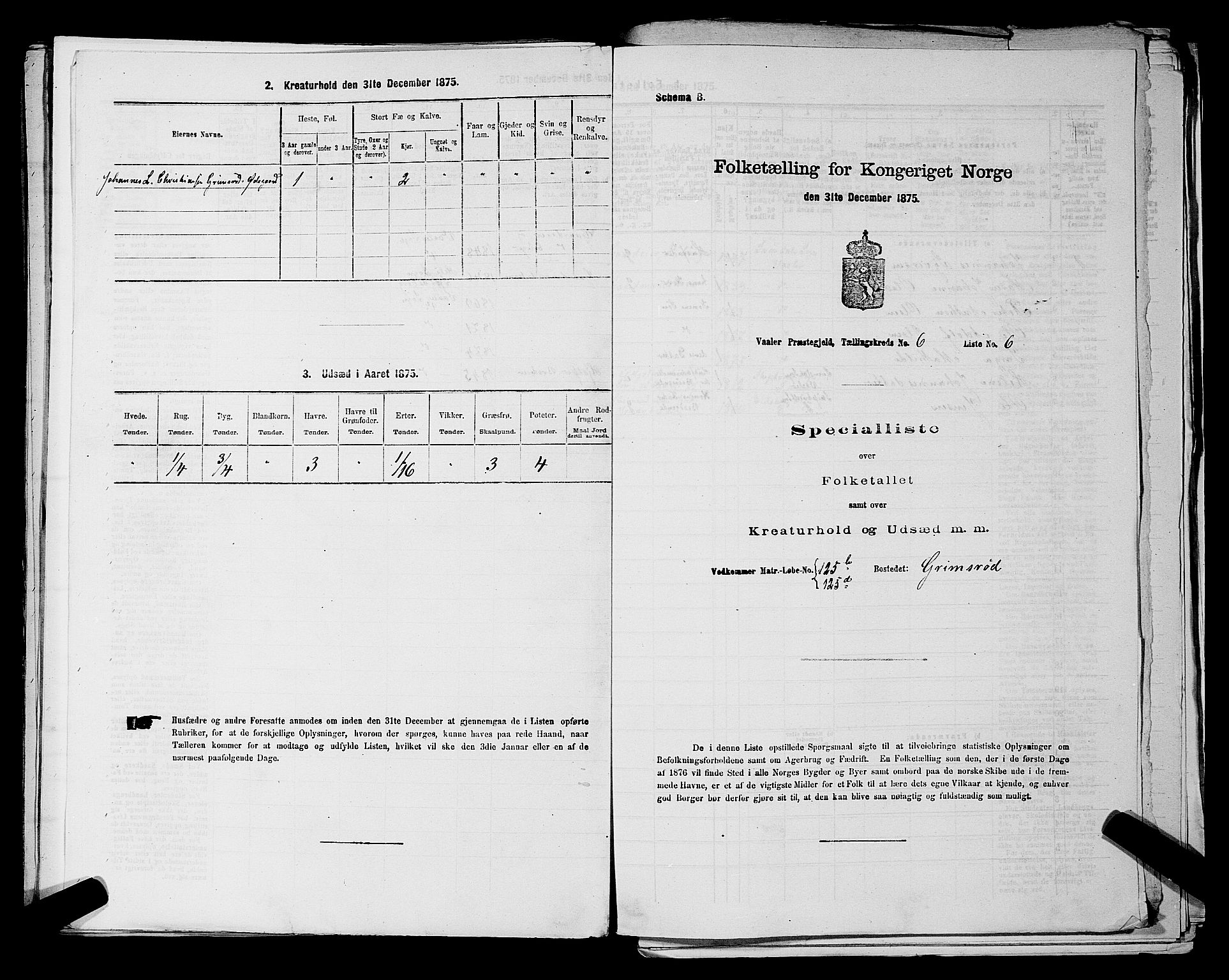 RA, 1875 census for 0137P Våler, 1875, p. 859