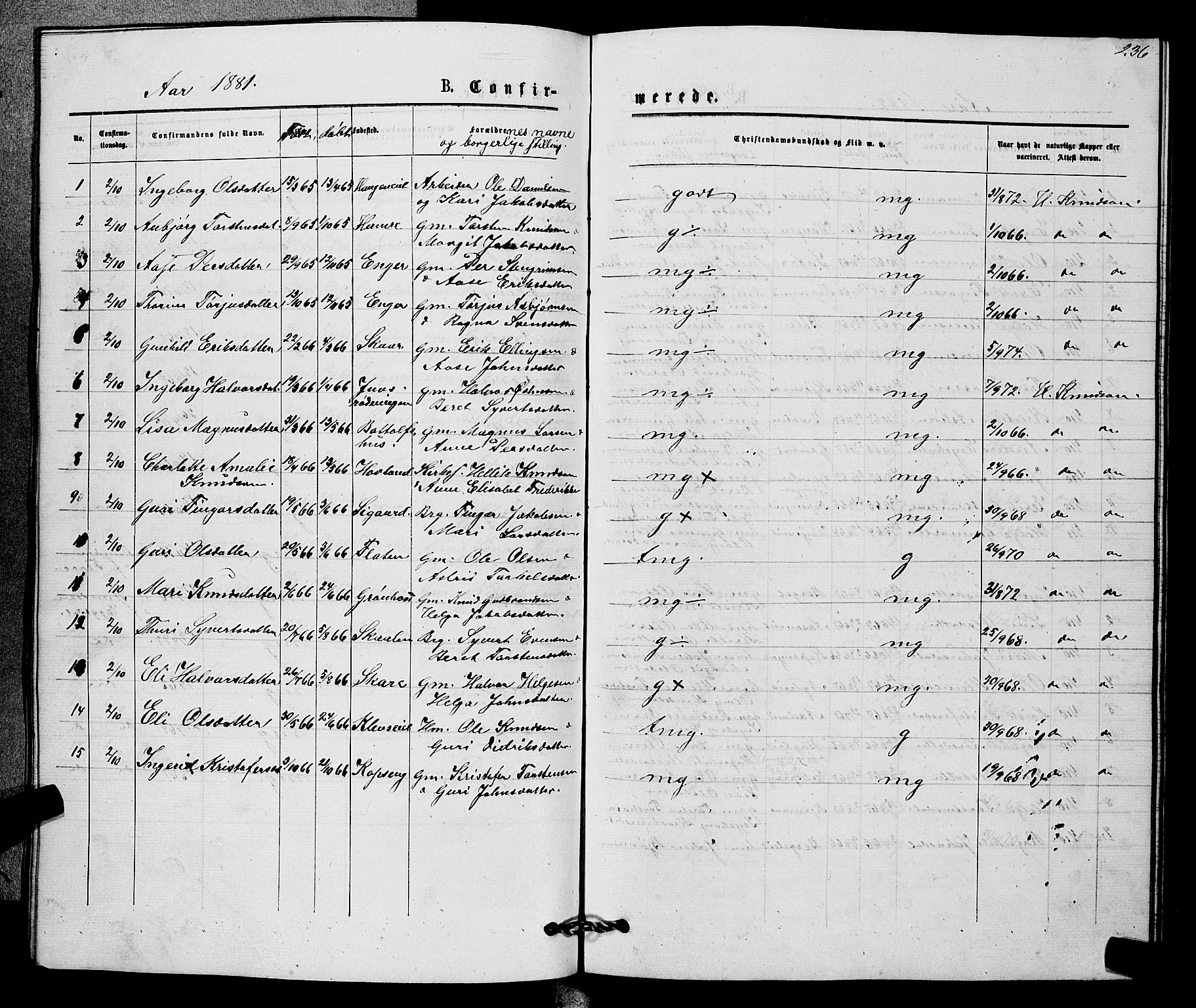 Sigdal kirkebøker, AV/SAKO-A-245/G/Gb/L0002: Parish register (copy) no. II 2, 1875-1900, p. 236