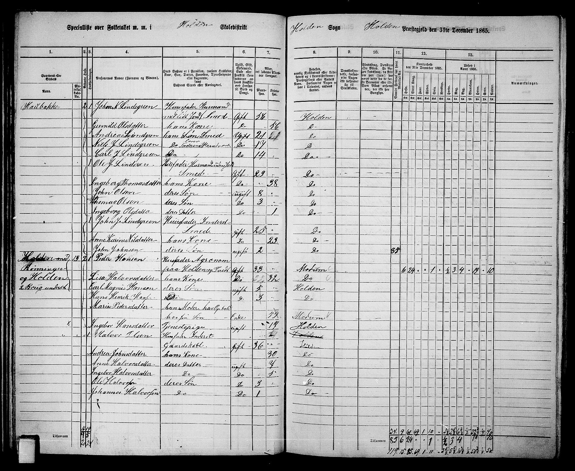 RA, 1865 census for Holla, 1865, p. 33