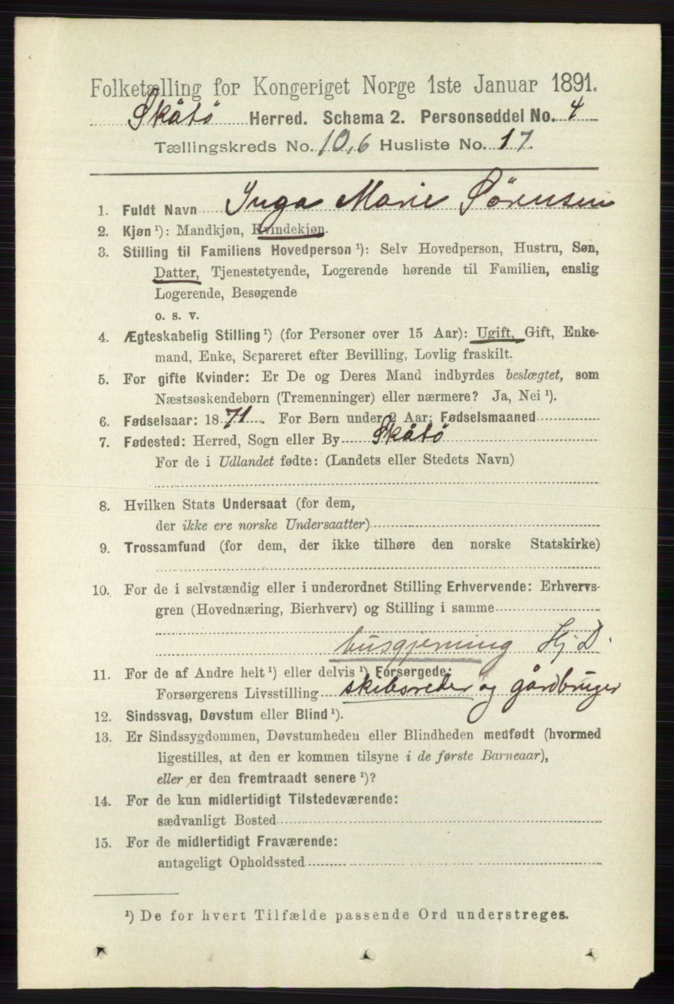 RA, 1891 census for 0815 Skåtøy, 1891, p. 4140