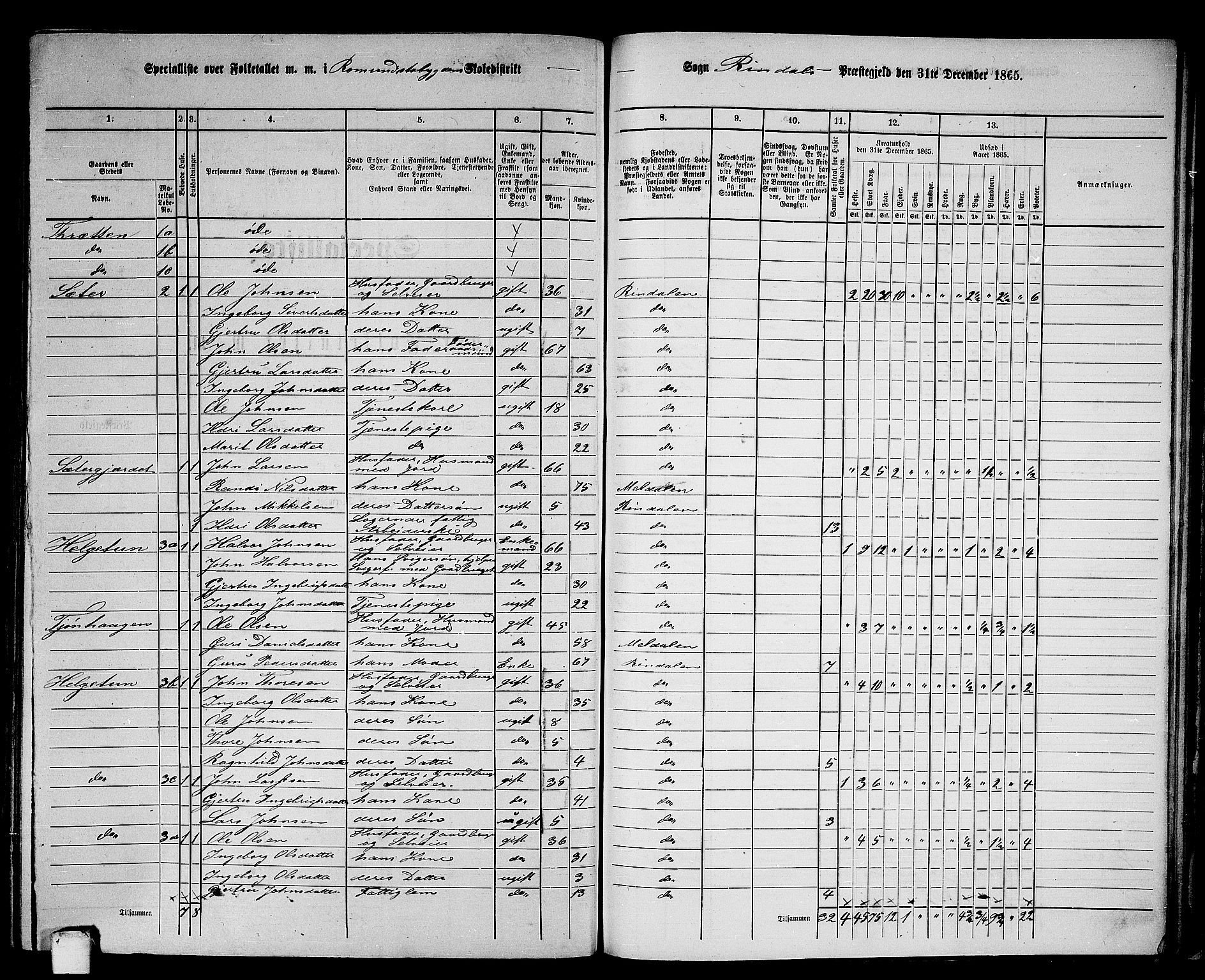 RA, 1865 census for Rindal, 1865, p. 69