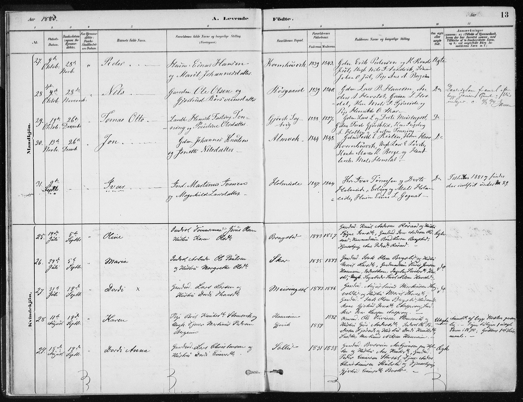 Ministerialprotokoller, klokkerbøker og fødselsregistre - Møre og Romsdal, AV/SAT-A-1454/586/L0987: Parish register (official) no. 586A13, 1879-1892, p. 13