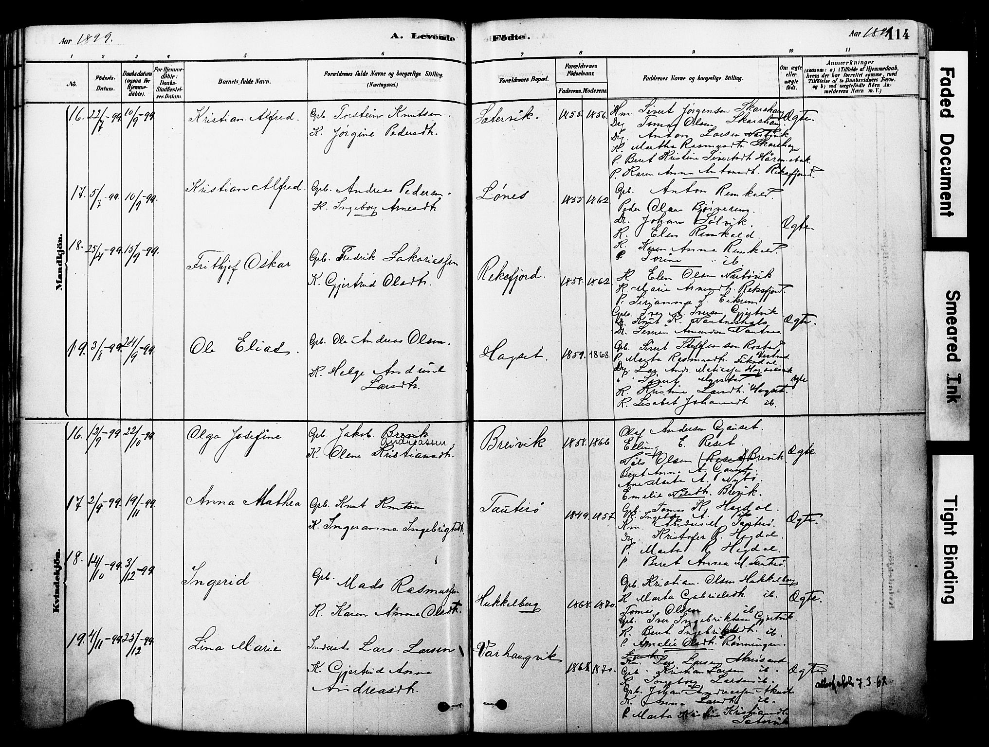 Ministerialprotokoller, klokkerbøker og fødselsregistre - Møre og Romsdal, AV/SAT-A-1454/560/L0721: Parish register (official) no. 560A05, 1878-1917, p. 114