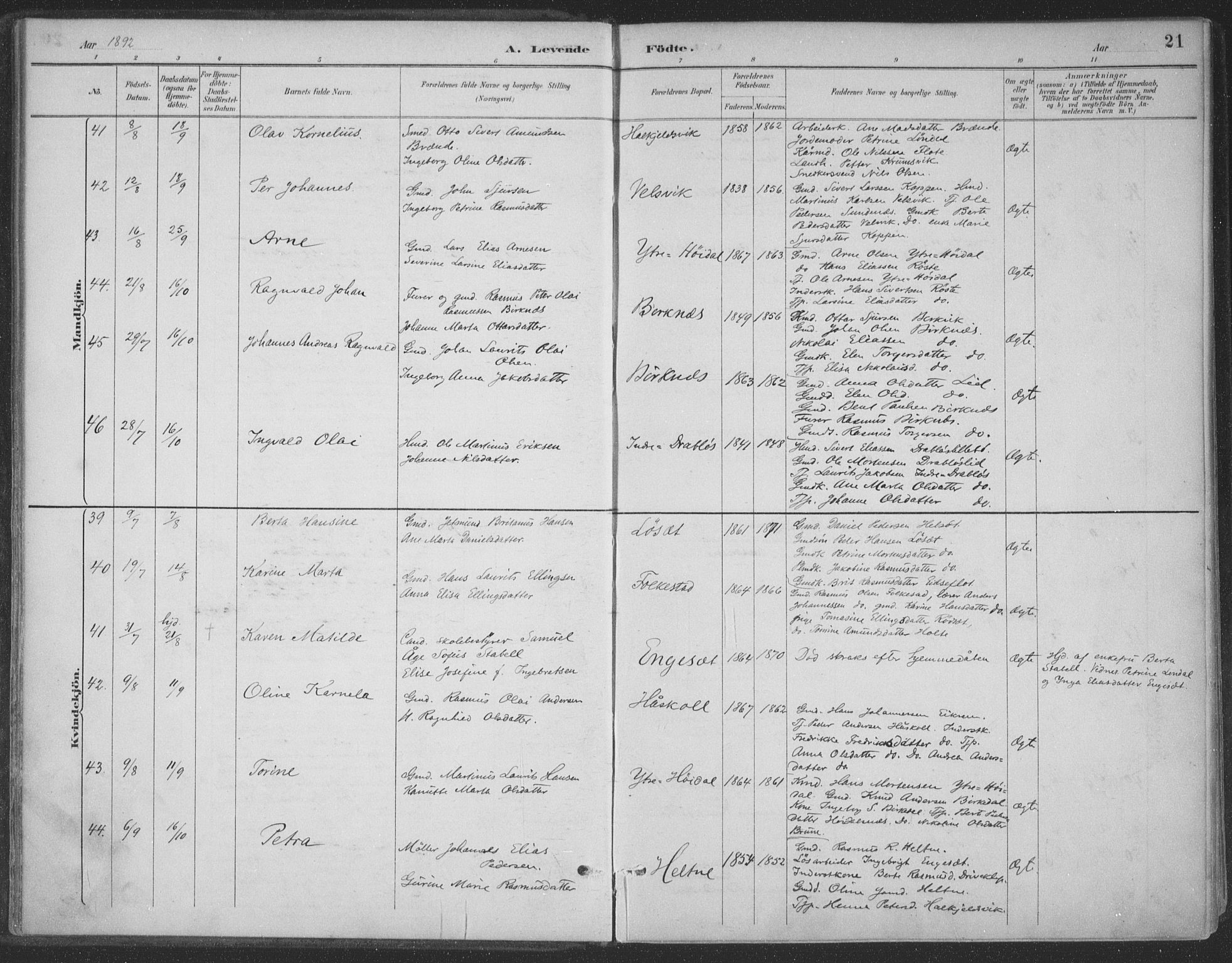 Ministerialprotokoller, klokkerbøker og fødselsregistre - Møre og Romsdal, AV/SAT-A-1454/511/L0142: Parish register (official) no. 511A09, 1891-1905, p. 21