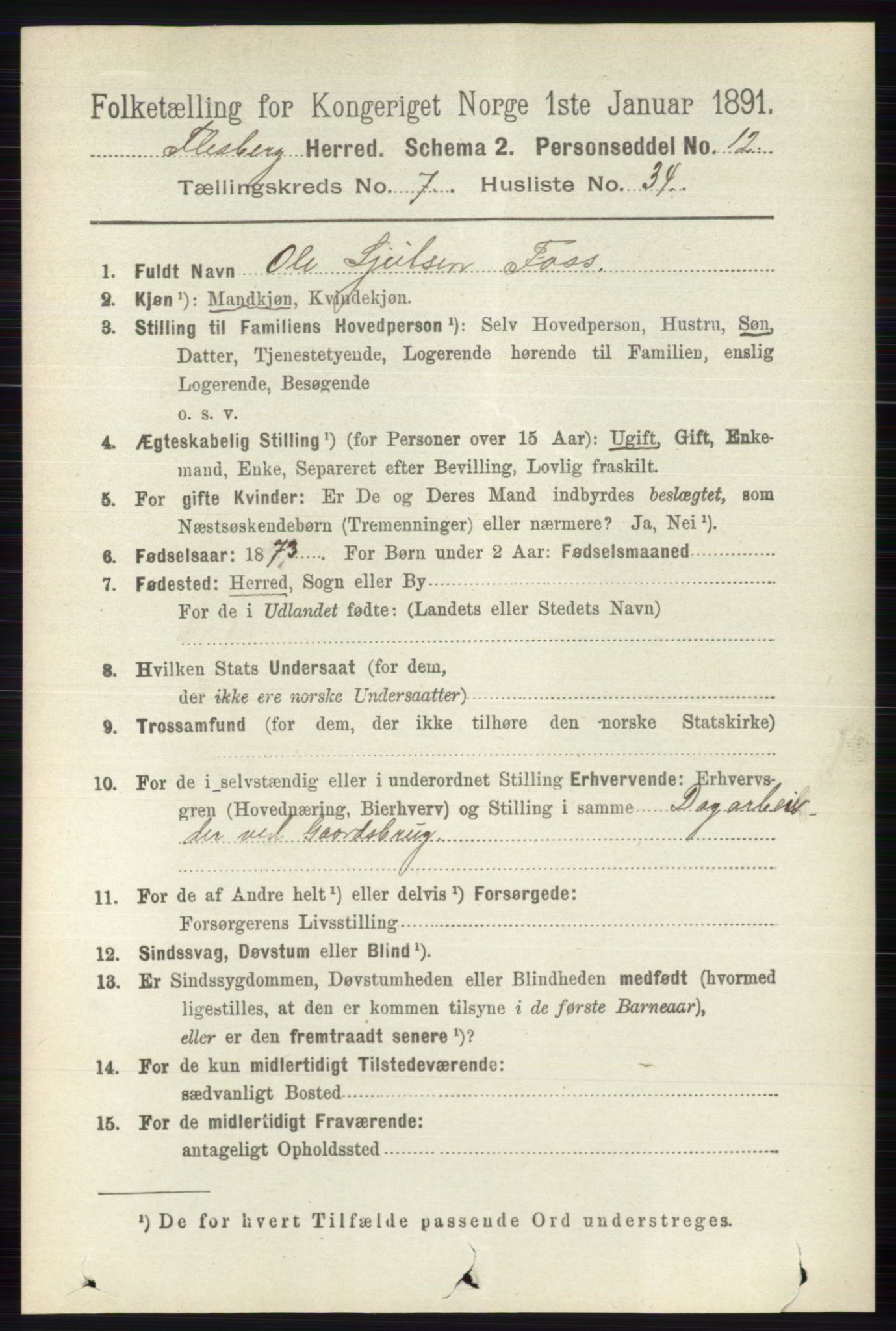 RA, 1891 census for 0631 Flesberg, 1891, p. 1328