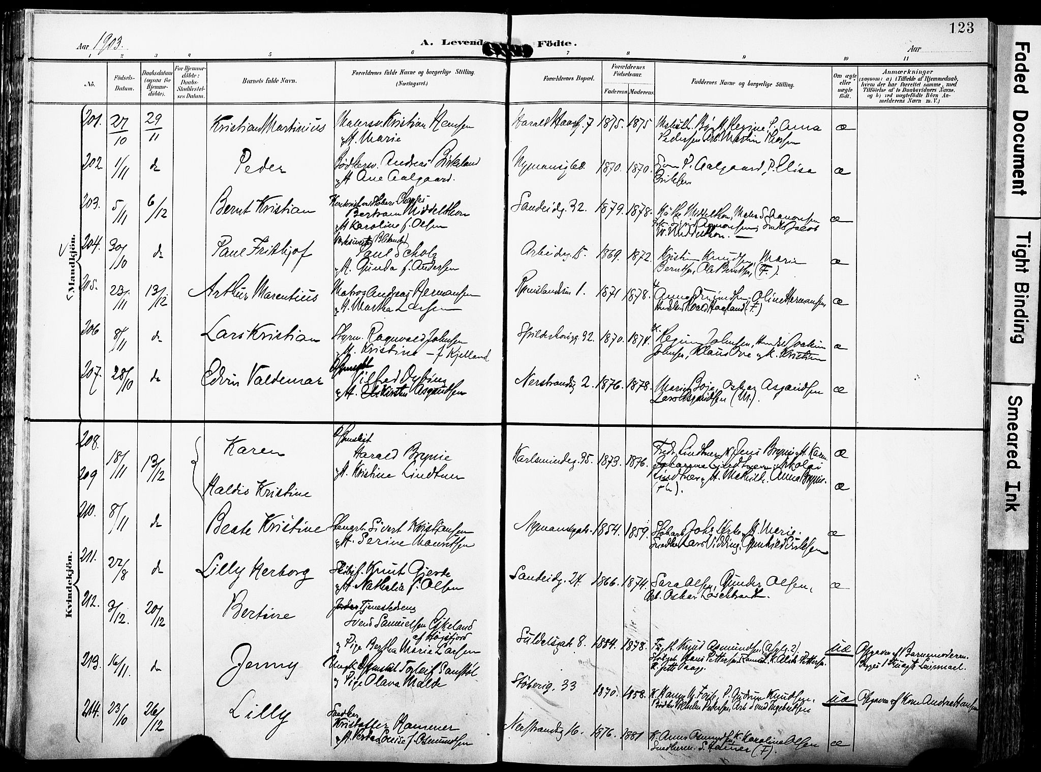 St. Johannes sokneprestkontor, AV/SAST-A-101814/001/30/30BA/L0007: Parish register (official) no. A 7, 1900-1910, p. 123