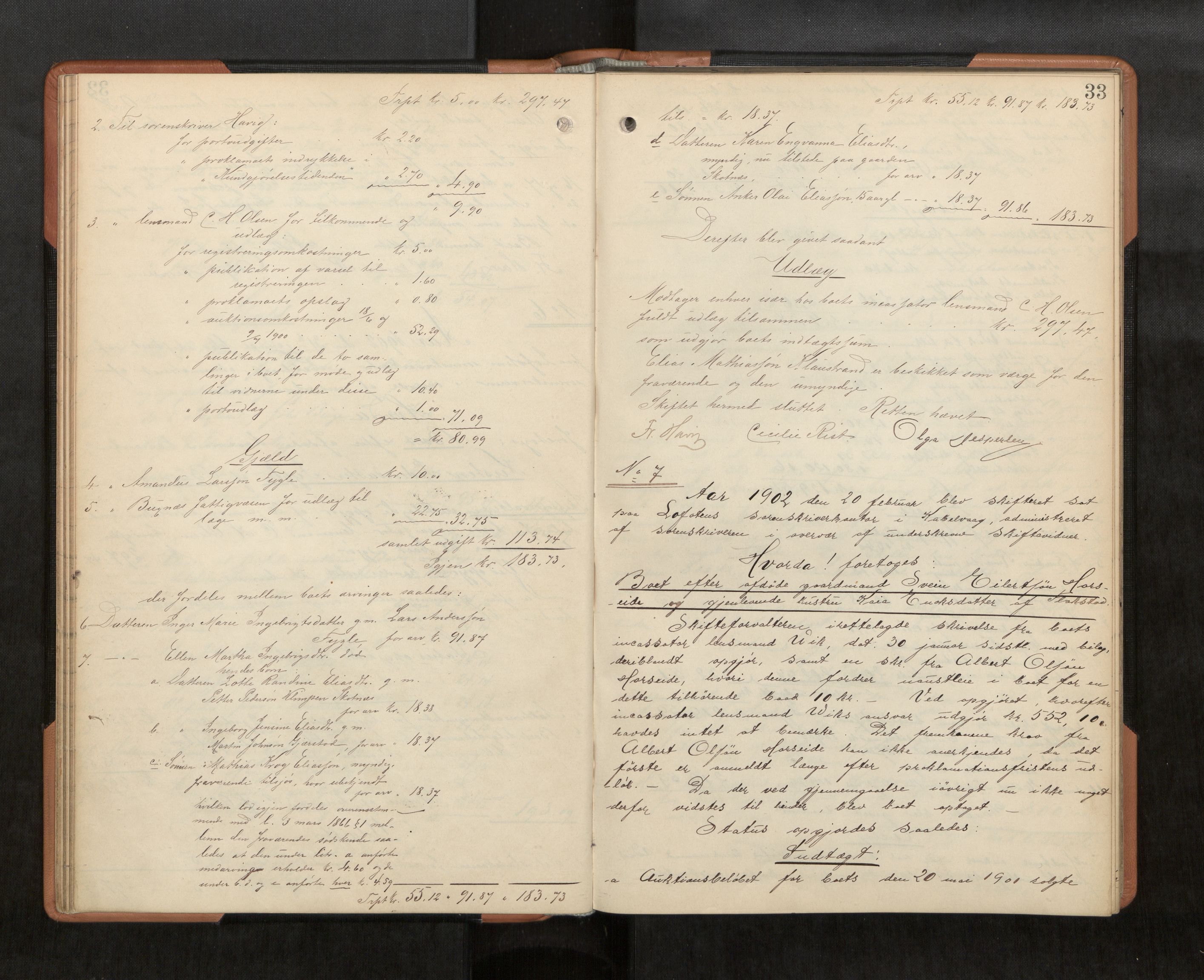 Lofoten sorenskriveri, AV/SAT-A-0017/1/3/3A/L0007: Skifteprotokoll, 1901-1905, p. 33