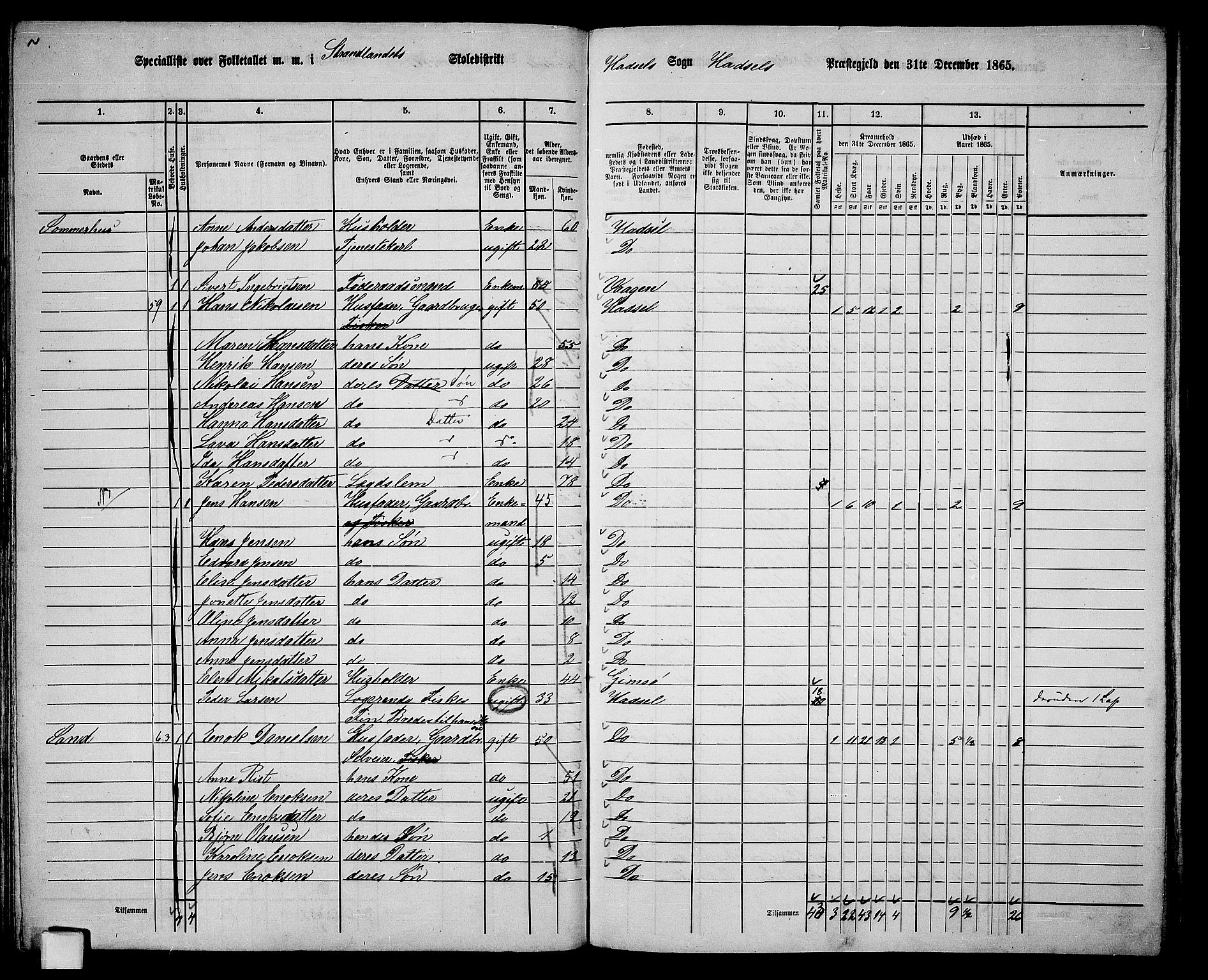 RA, 1865 census for Hadsel, 1865, p. 78