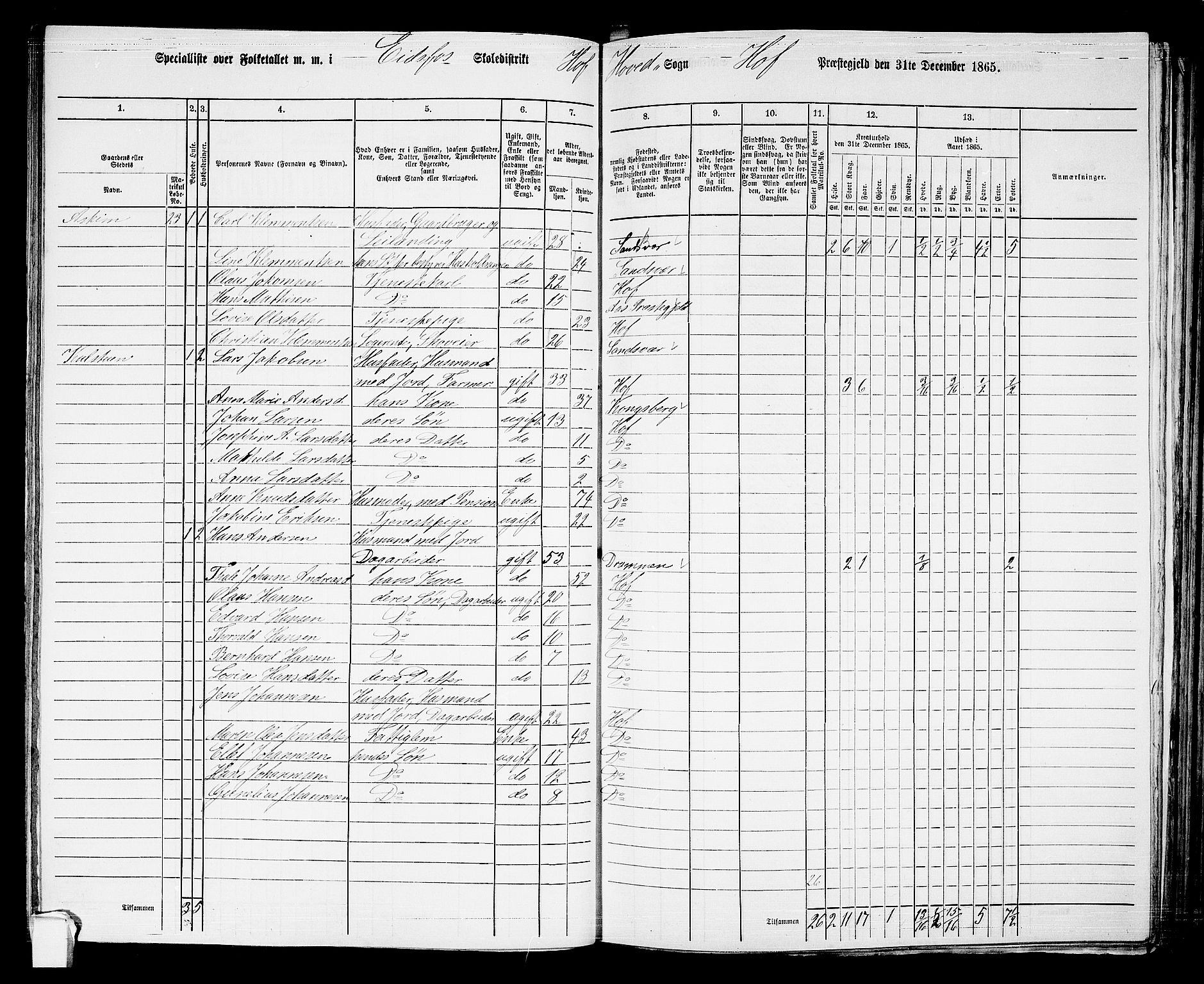 RA, 1865 census for Hof, 1865, p. 95