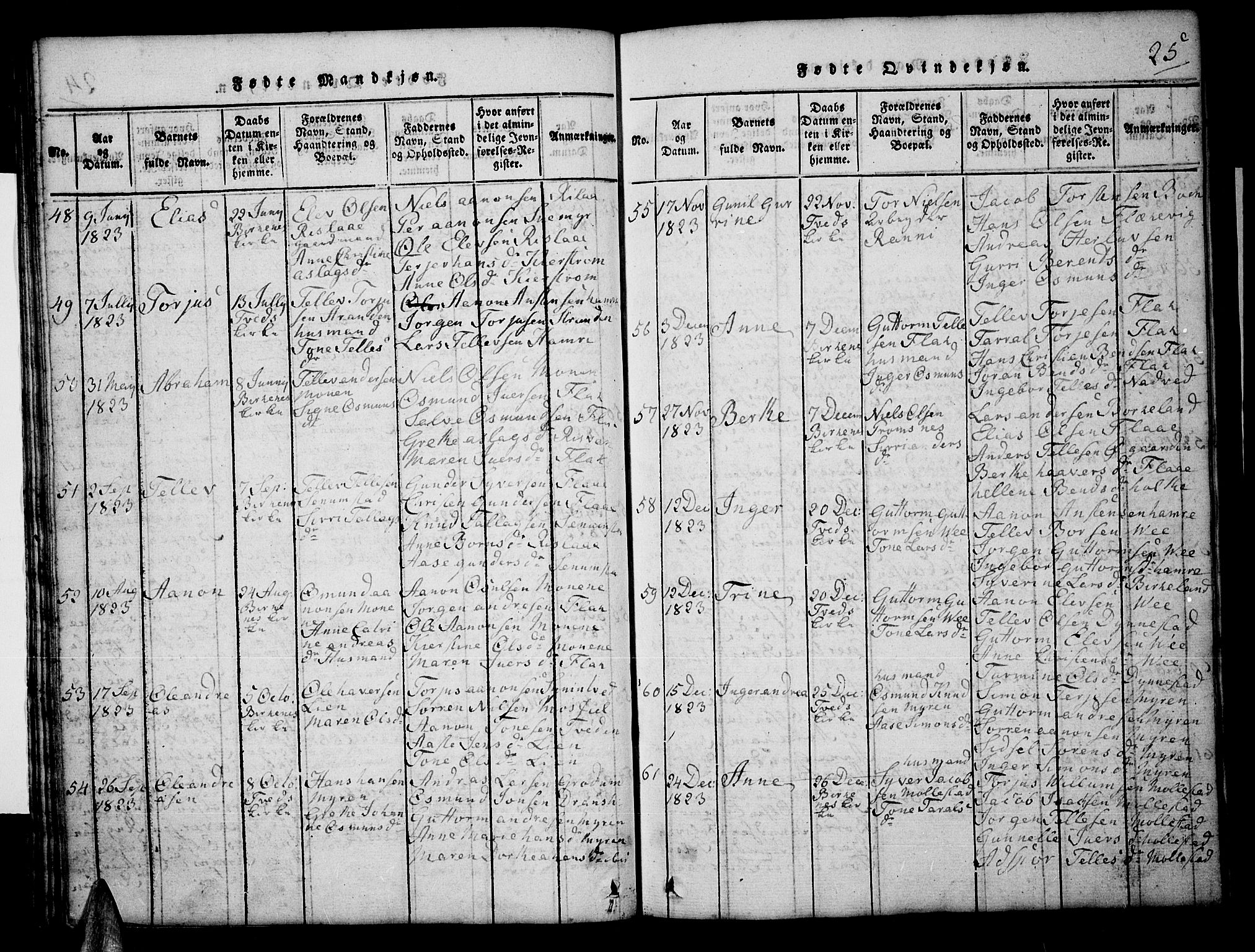 Tveit sokneprestkontor, AV/SAK-1111-0043/F/Fb/L0001: Parish register (copy) no. B 1, 1820-1834, p. 25