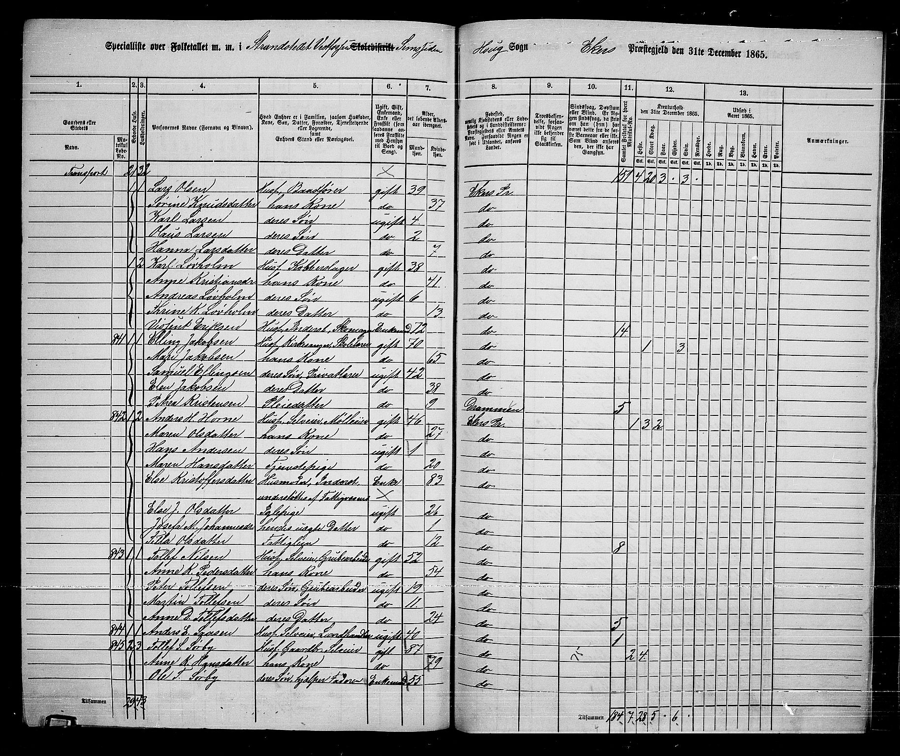 RA, 1865 census for Eiker, 1865, p. 246