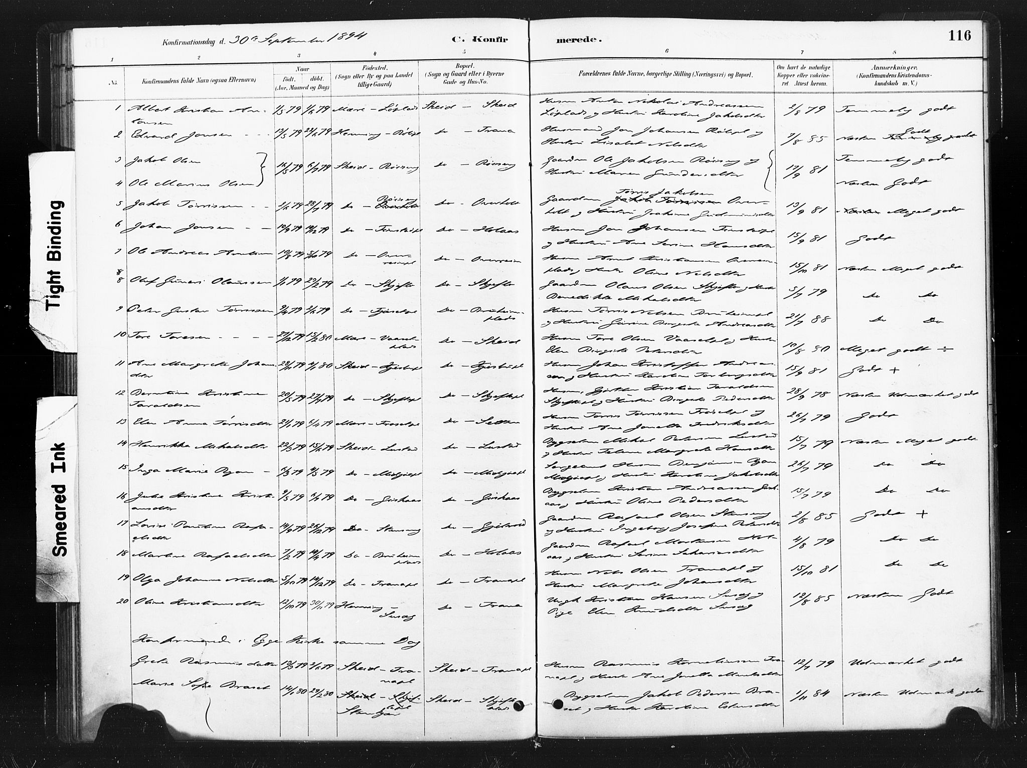 Ministerialprotokoller, klokkerbøker og fødselsregistre - Nord-Trøndelag, SAT/A-1458/736/L0361: Parish register (official) no. 736A01, 1884-1906, p. 116