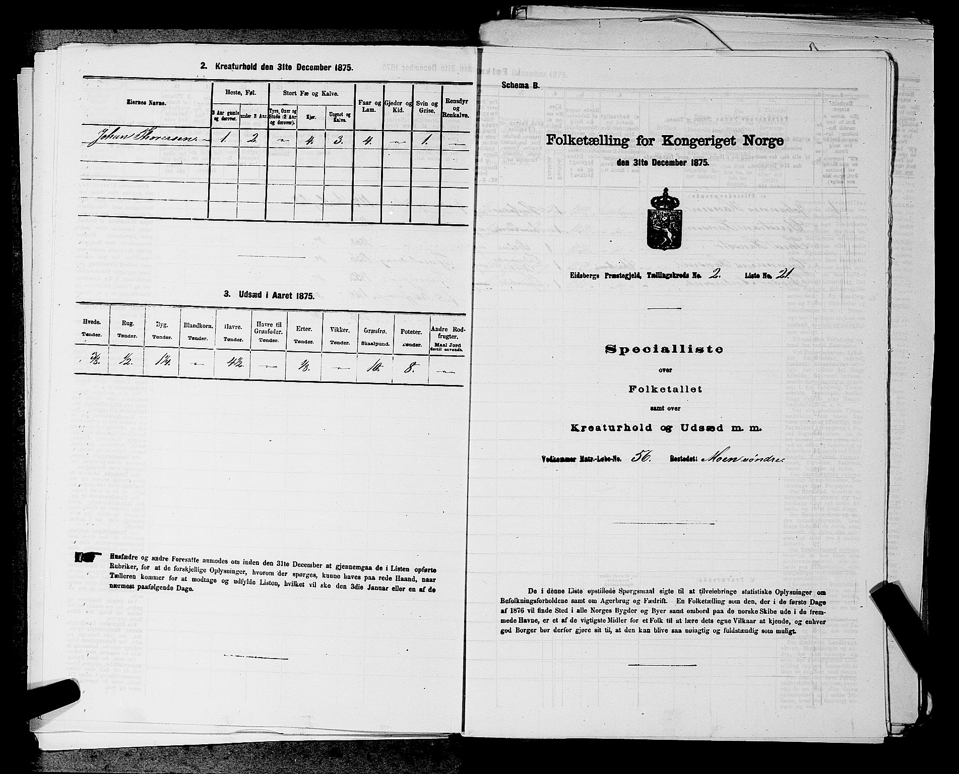 RA, 1875 census for 0125P Eidsberg, 1875, p. 401