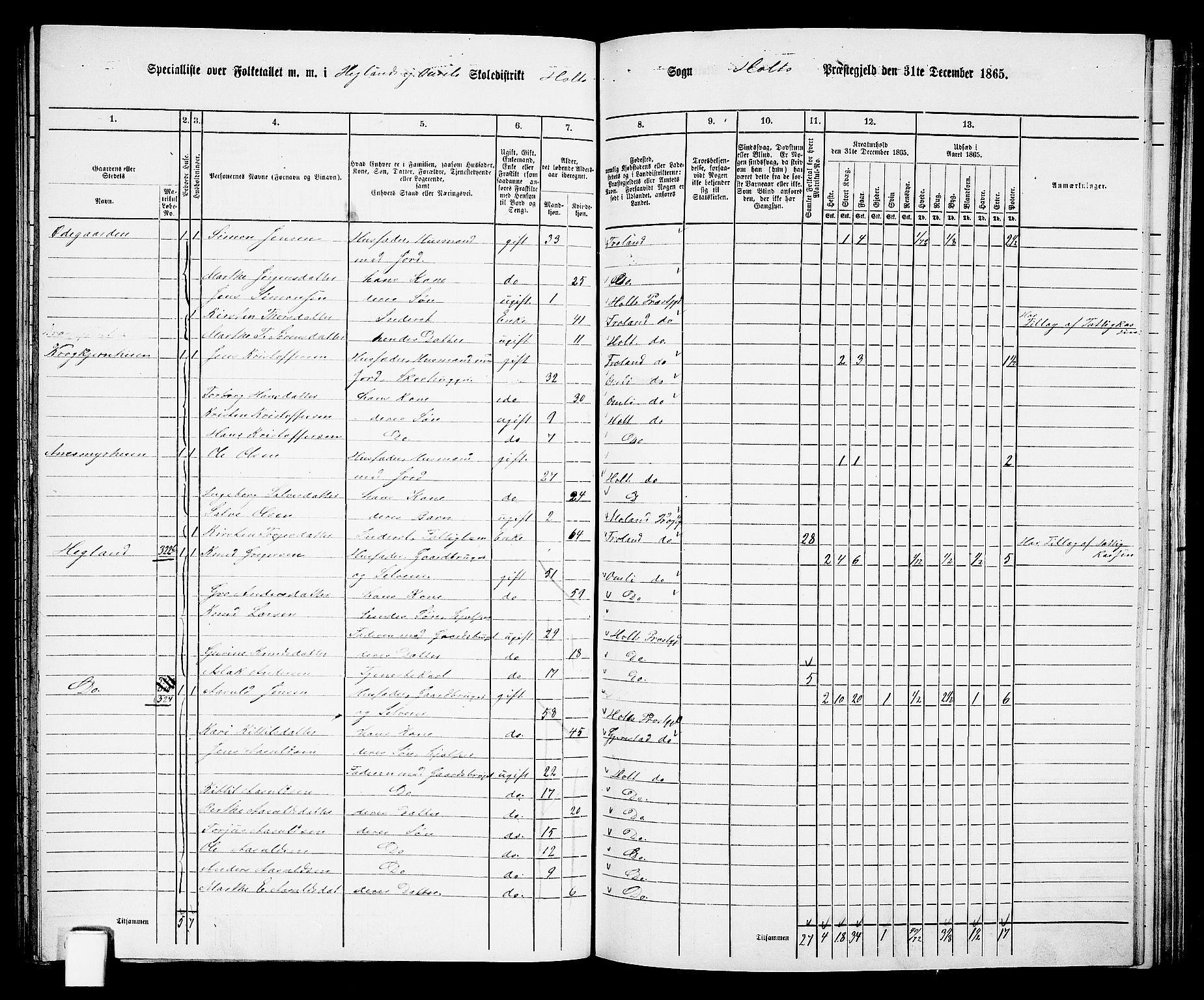 RA, 1865 census for Holt/Holt, 1865, p. 135