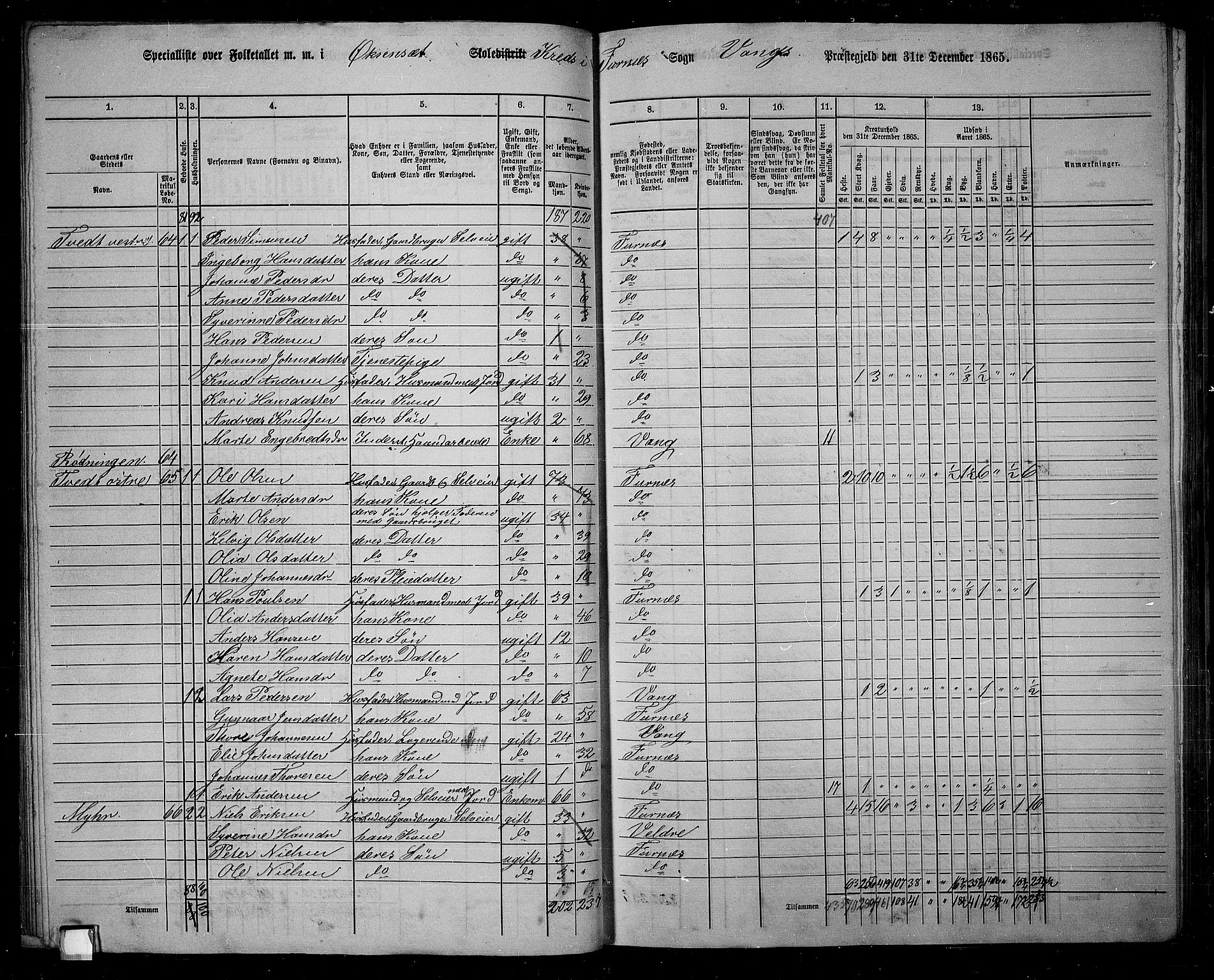 RA, 1865 census for Vang/Vang og Furnes, 1865, p. 62