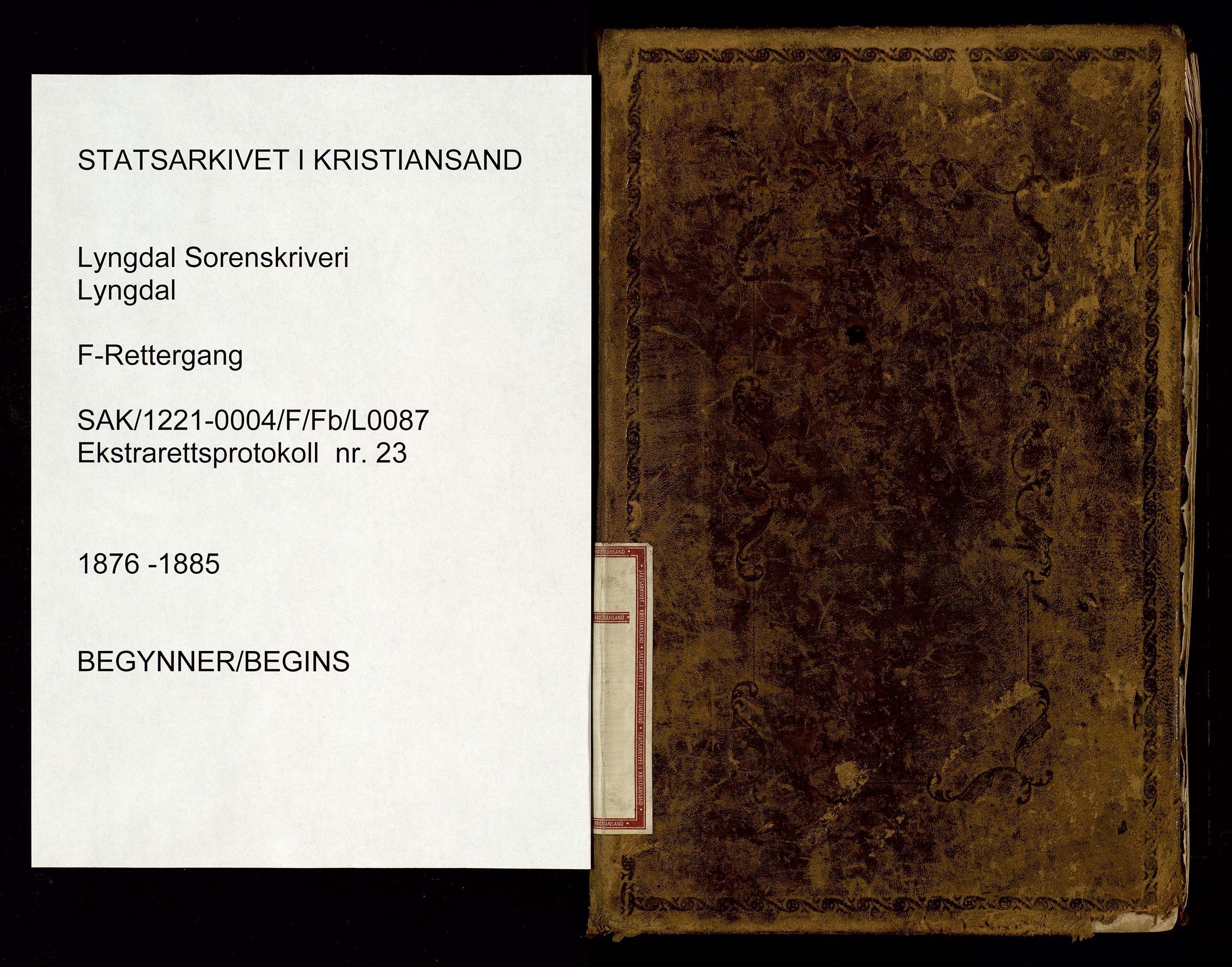 Lyngdal sorenskriveri, AV/SAK-1221-0004/F/Fb/L0087: Ekstrarettsprotokoll nr. 23, 1876-1885