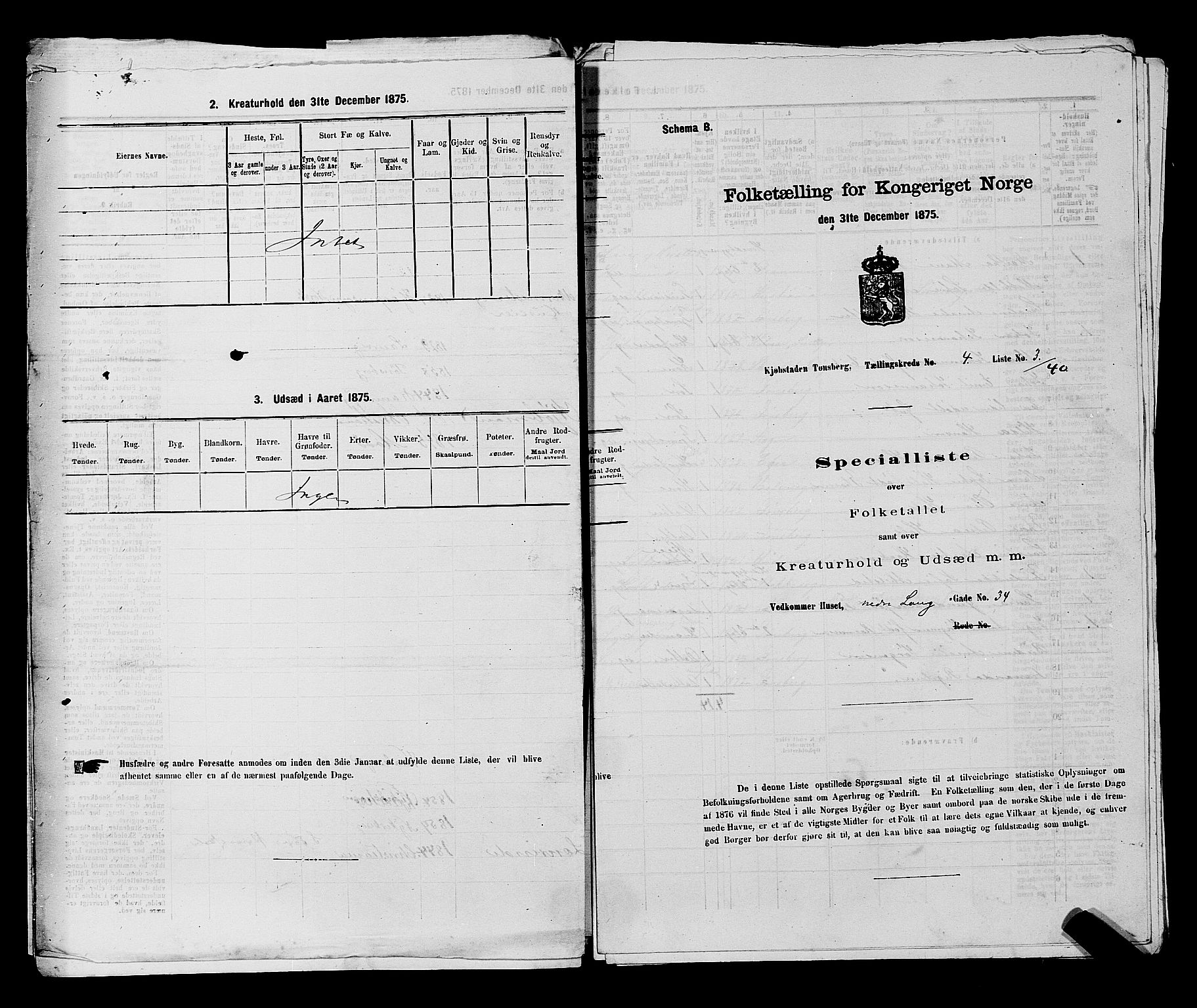 SAKO, 1875 census for 0705P Tønsberg, 1875, p. 117