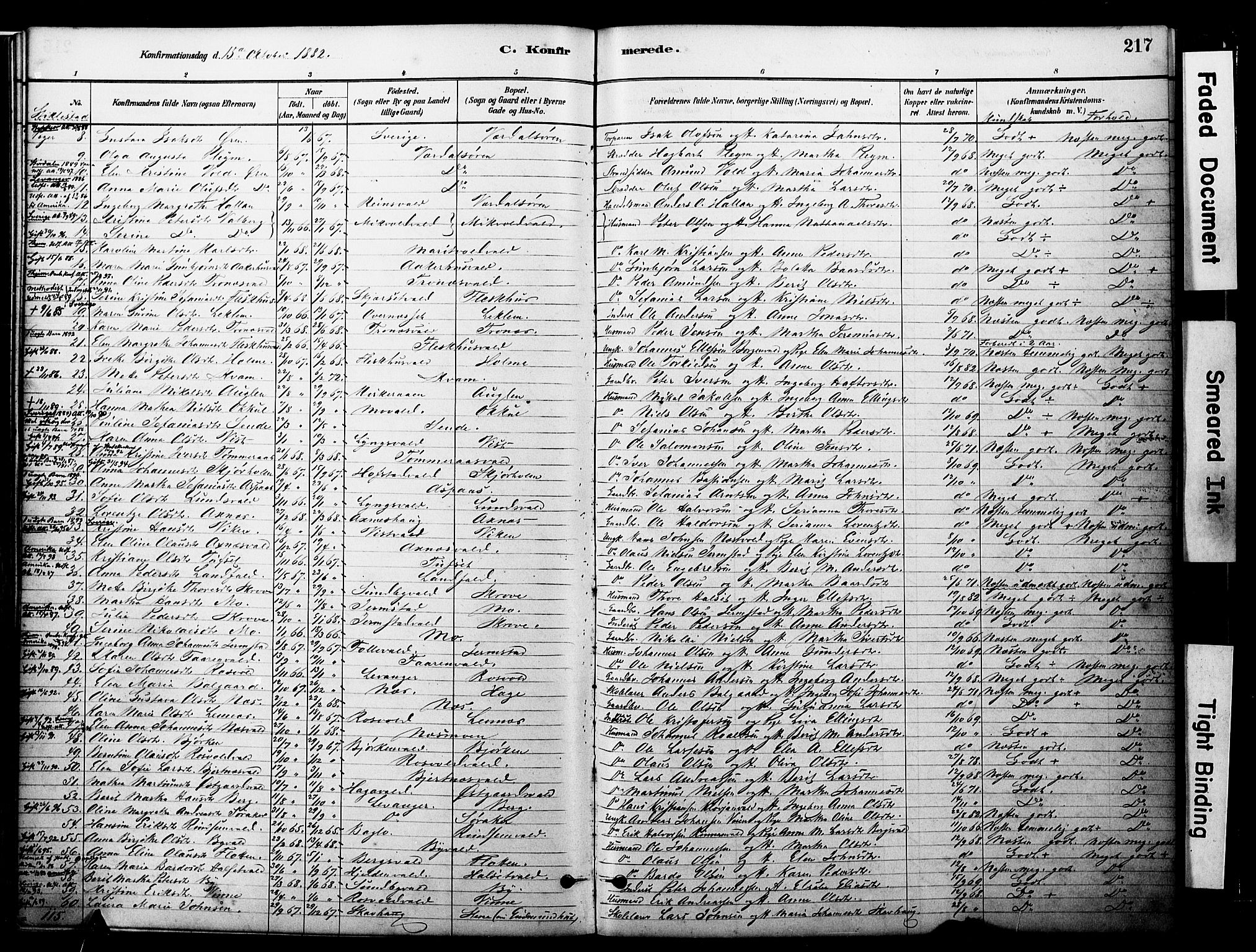 Ministerialprotokoller, klokkerbøker og fødselsregistre - Nord-Trøndelag, SAT/A-1458/723/L0244: Parish register (official) no. 723A13, 1881-1899, p. 217