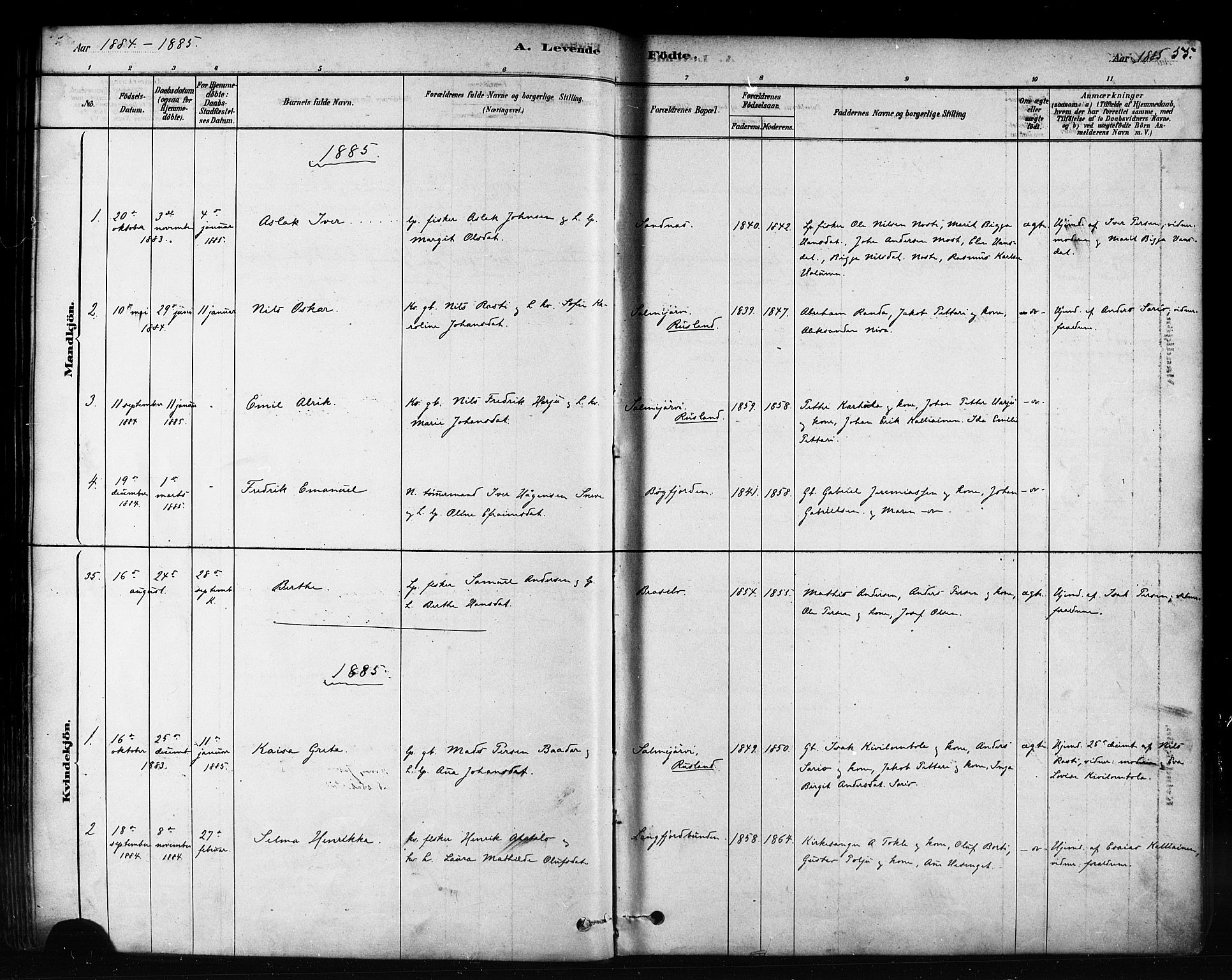 Sør-Varanger sokneprestkontor, SATØ/S-1331/H/Ha/L0003kirke: Parish register (official) no. 3, 1878-1891, p. 55