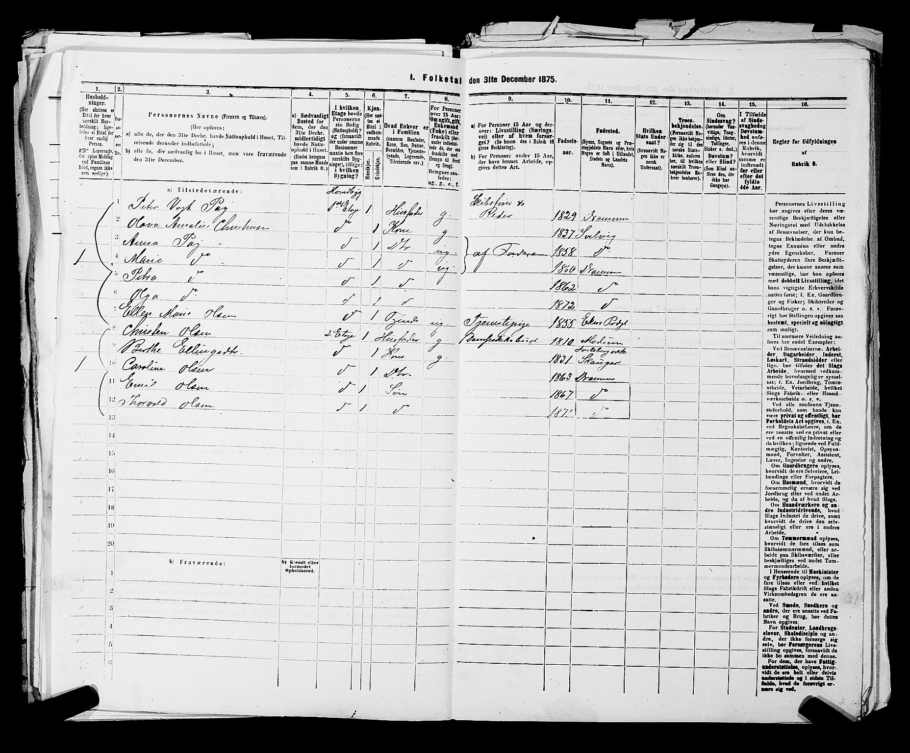 SAKO, 1875 census for 0602 Drammen, 1875, p. 2750