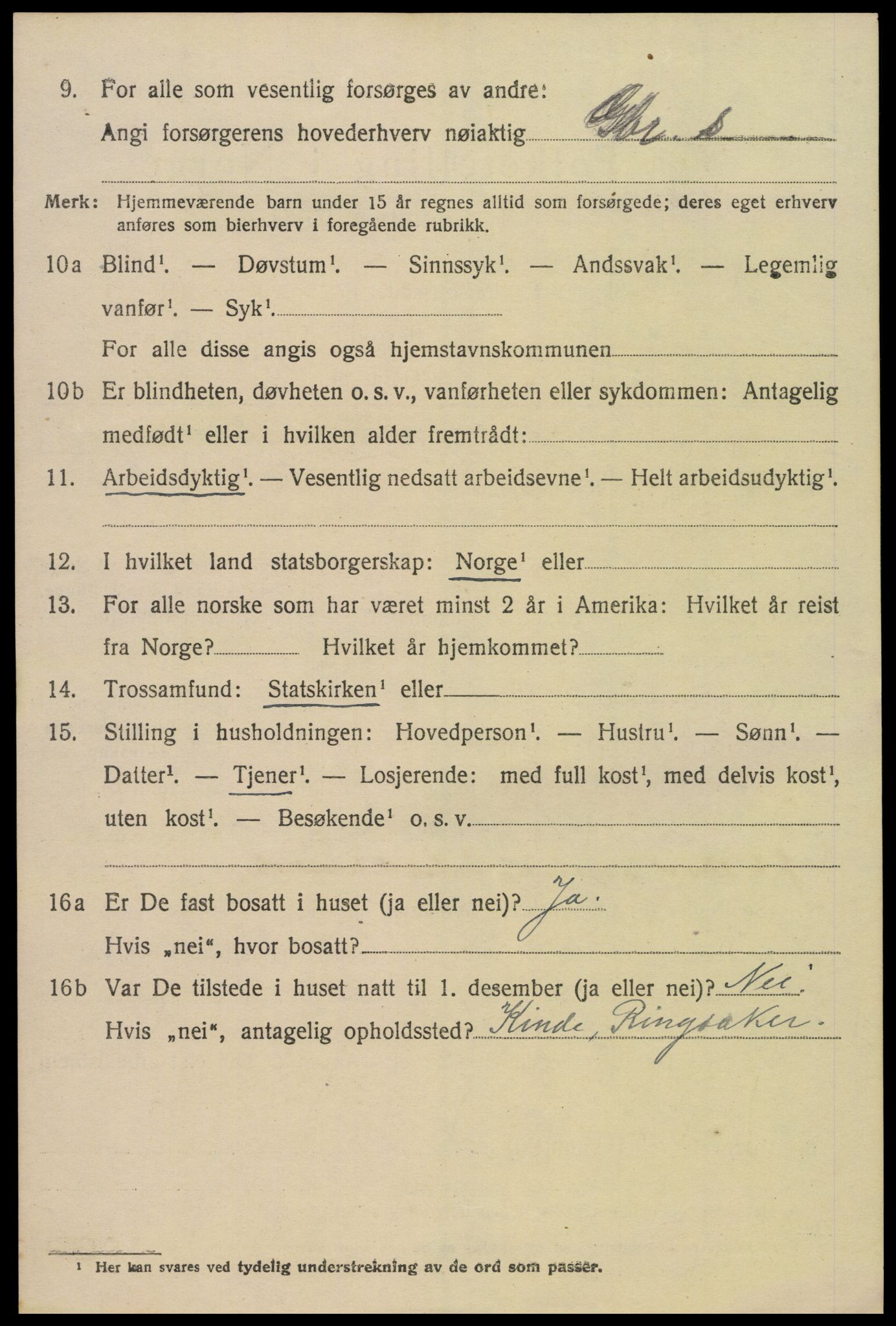 SAH, 1920 census for Ringsaker, 1920, p. 21847