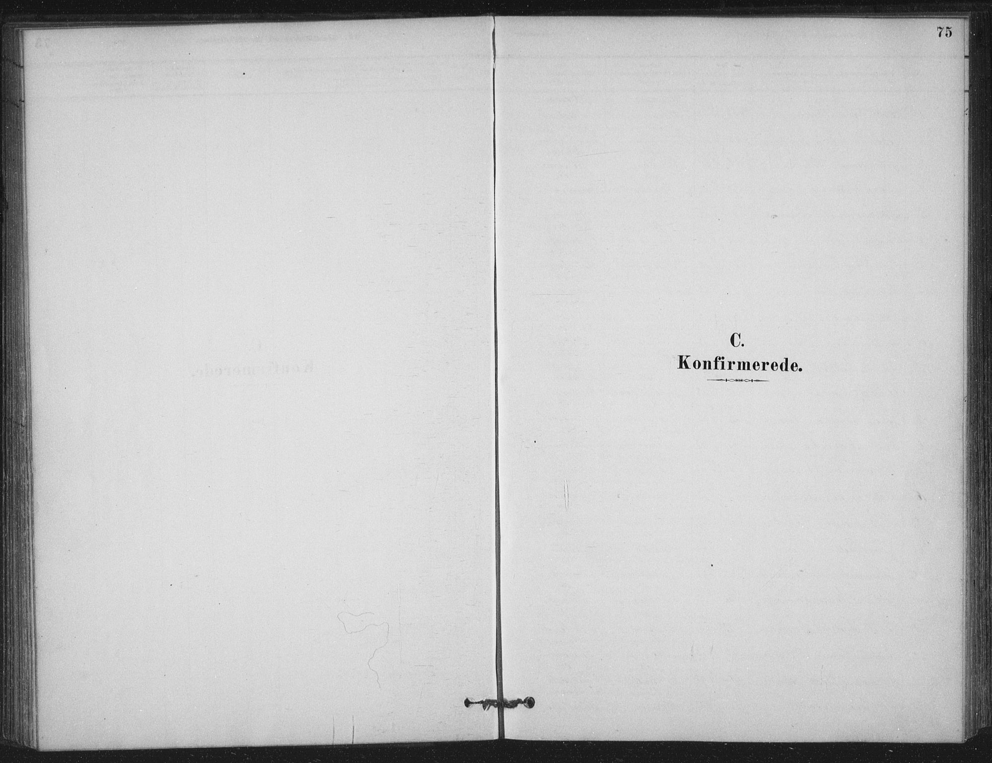 Ministerialprotokoller, klokkerbøker og fødselsregistre - Nordland, SAT/A-1459/825/L0361: Parish register (official) no. 825A15, 1878-1893, p. 75