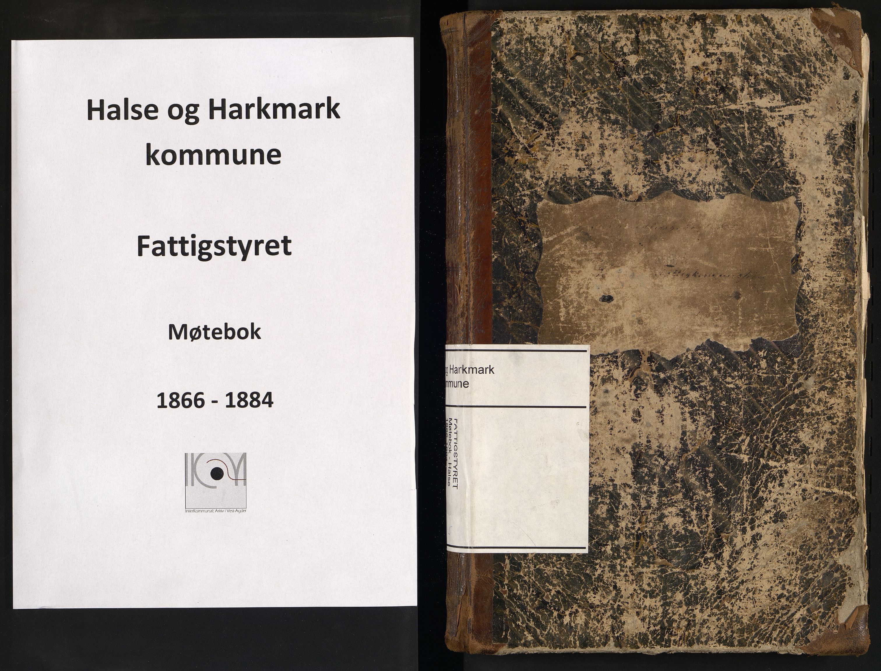Halse og Harkmark kommune - Fattigstyret/Forsorgstyret, IKAV/1002HH600/A/L0002: Møtebok (d), 1866-1884