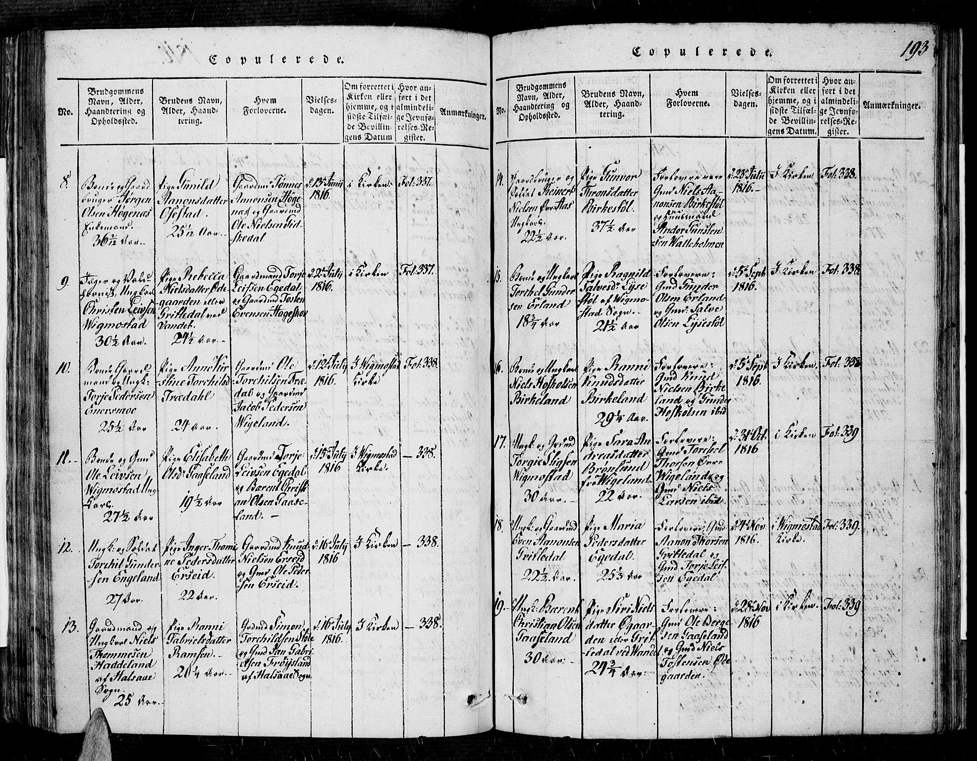 Sør-Audnedal sokneprestkontor, SAK/1111-0039/F/Fa/Fab/L0005: Parish register (official) no. A 5, 1816-1830, p. 193