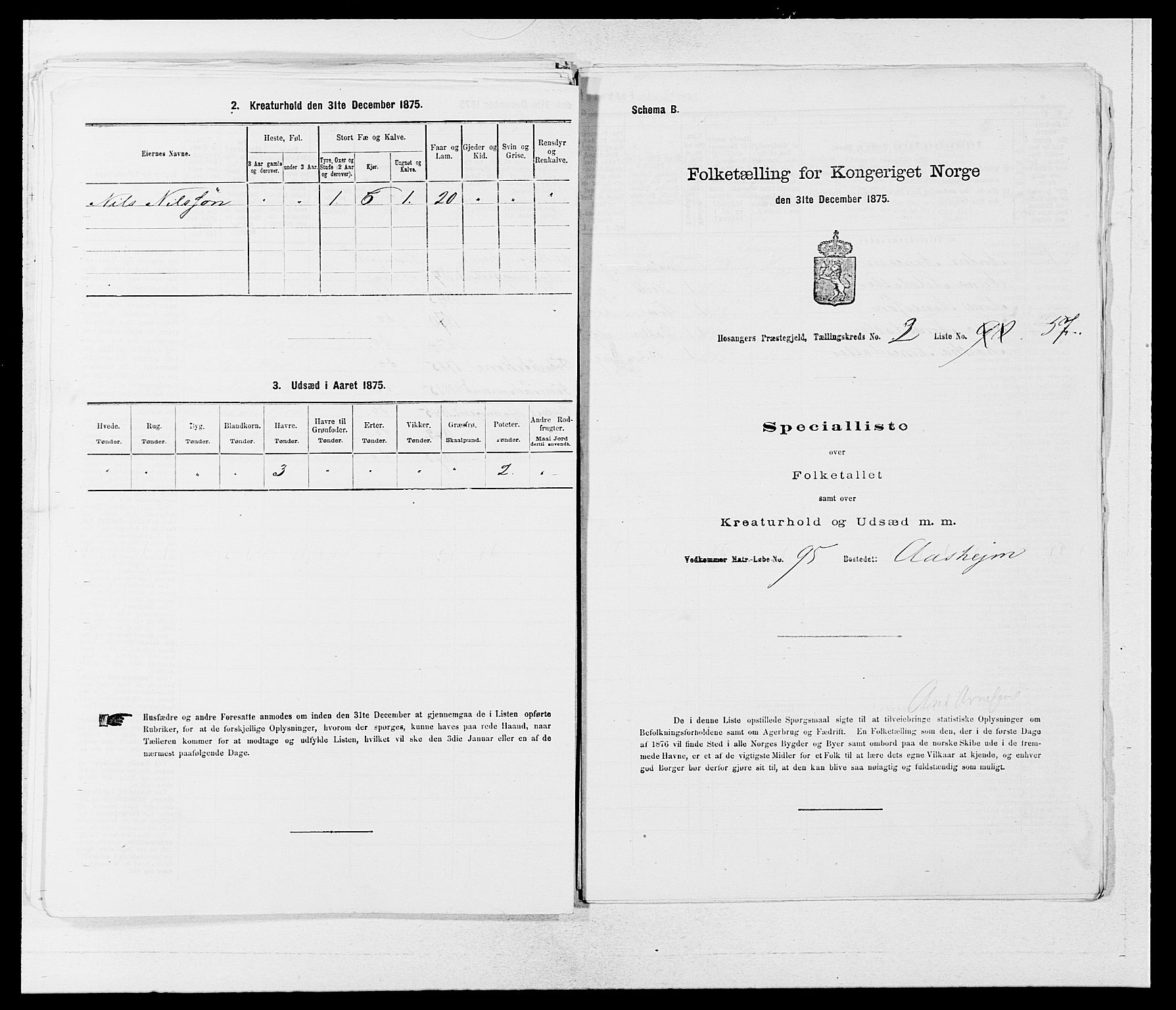 SAB, 1875 census for 1253P Hosanger, 1875, p. 267