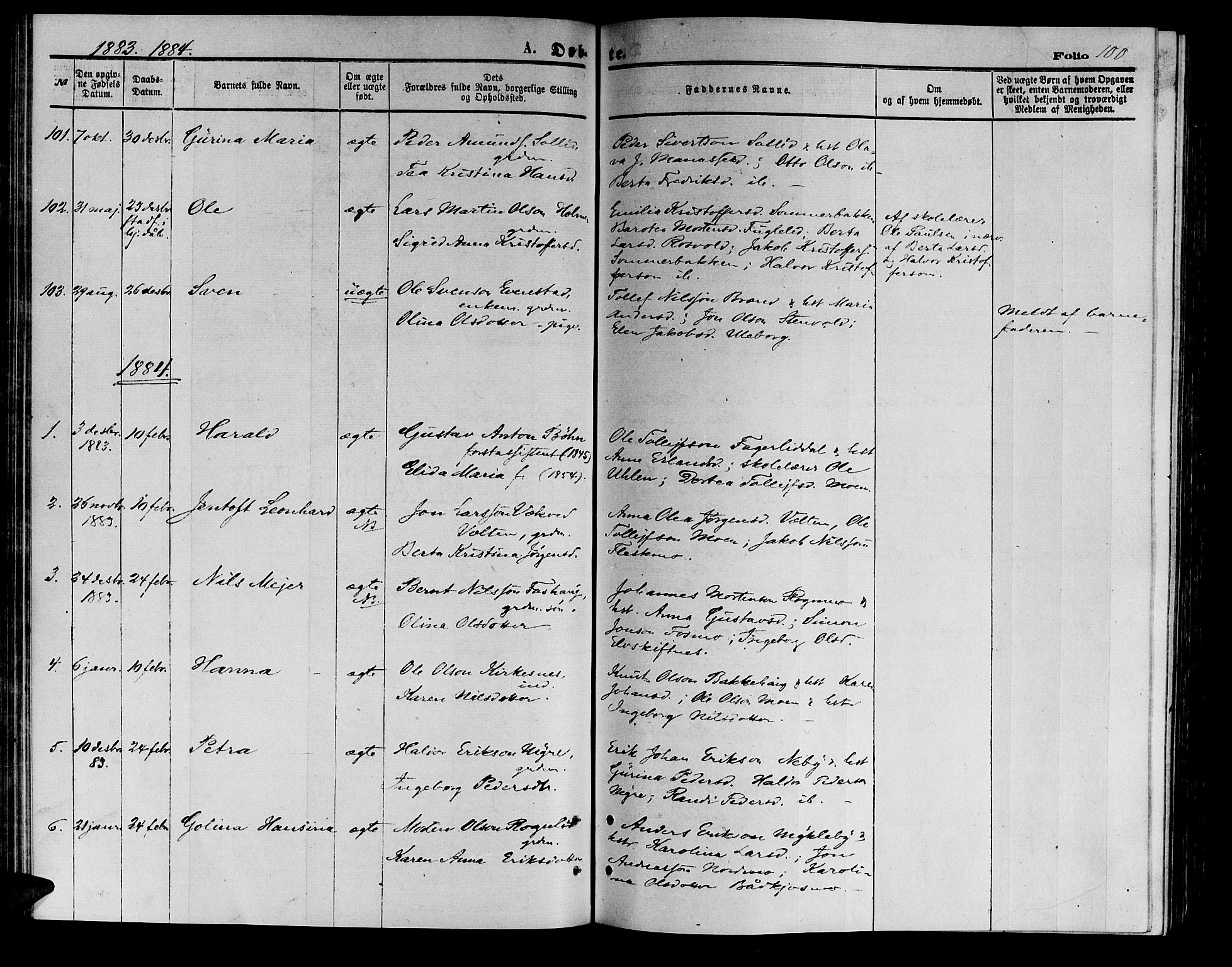 Målselv sokneprestembete, SATØ/S-1311/G/Ga/Gab/L0003klokker: Parish register (copy) no. 3, 1874-1885, p. 100