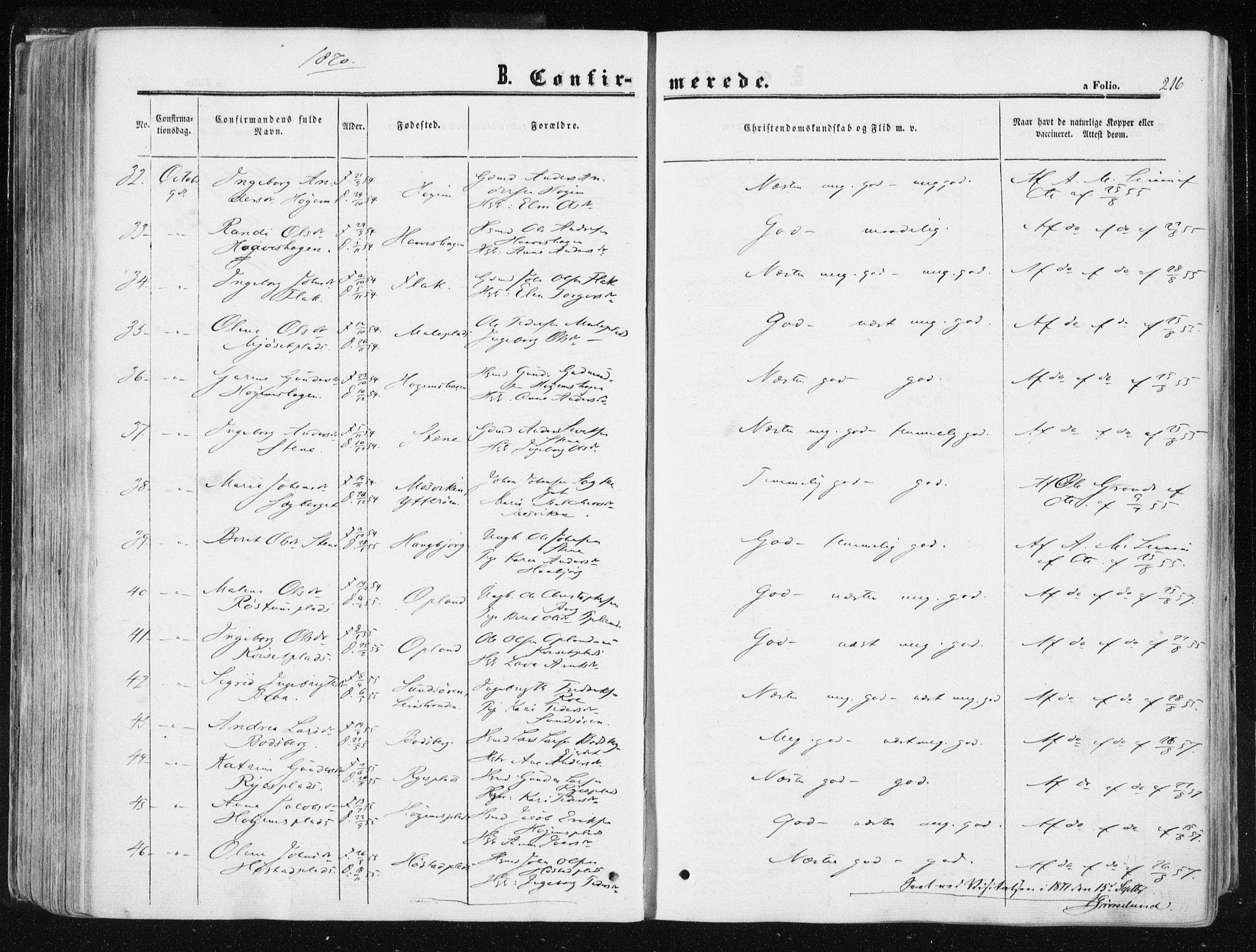 Ministerialprotokoller, klokkerbøker og fødselsregistre - Sør-Trøndelag, SAT/A-1456/612/L0377: Parish register (official) no. 612A09, 1859-1877, p. 216