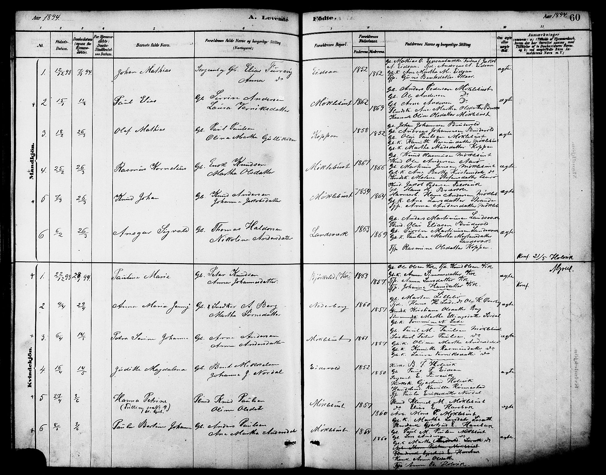 Ministerialprotokoller, klokkerbøker og fødselsregistre - Møre og Romsdal, AV/SAT-A-1454/502/L0027: Parish register (copy) no. 502C01, 1878-1908, p. 60