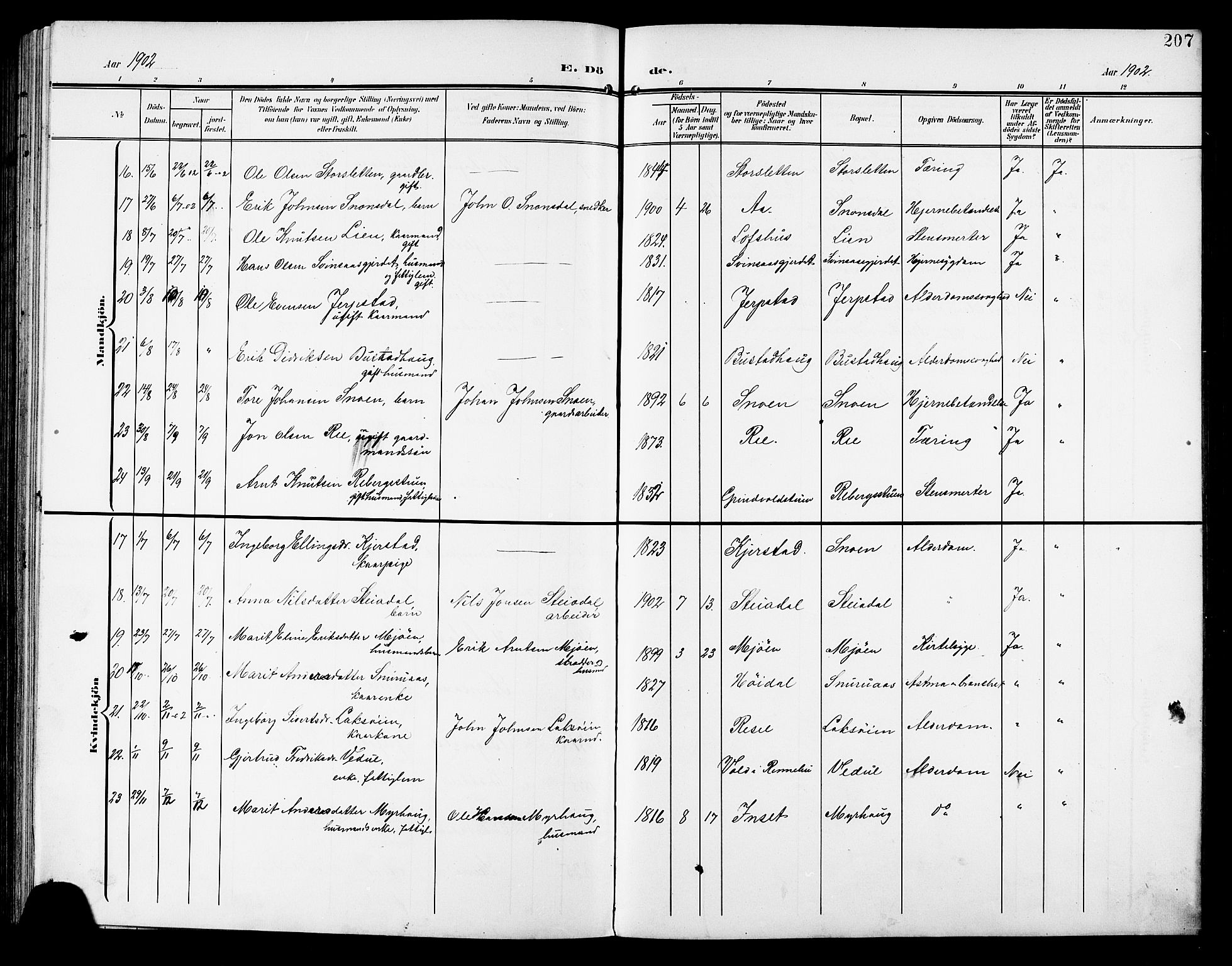 Ministerialprotokoller, klokkerbøker og fødselsregistre - Sør-Trøndelag, SAT/A-1456/672/L0864: Parish register (copy) no. 672C03, 1902-1914, p. 207
