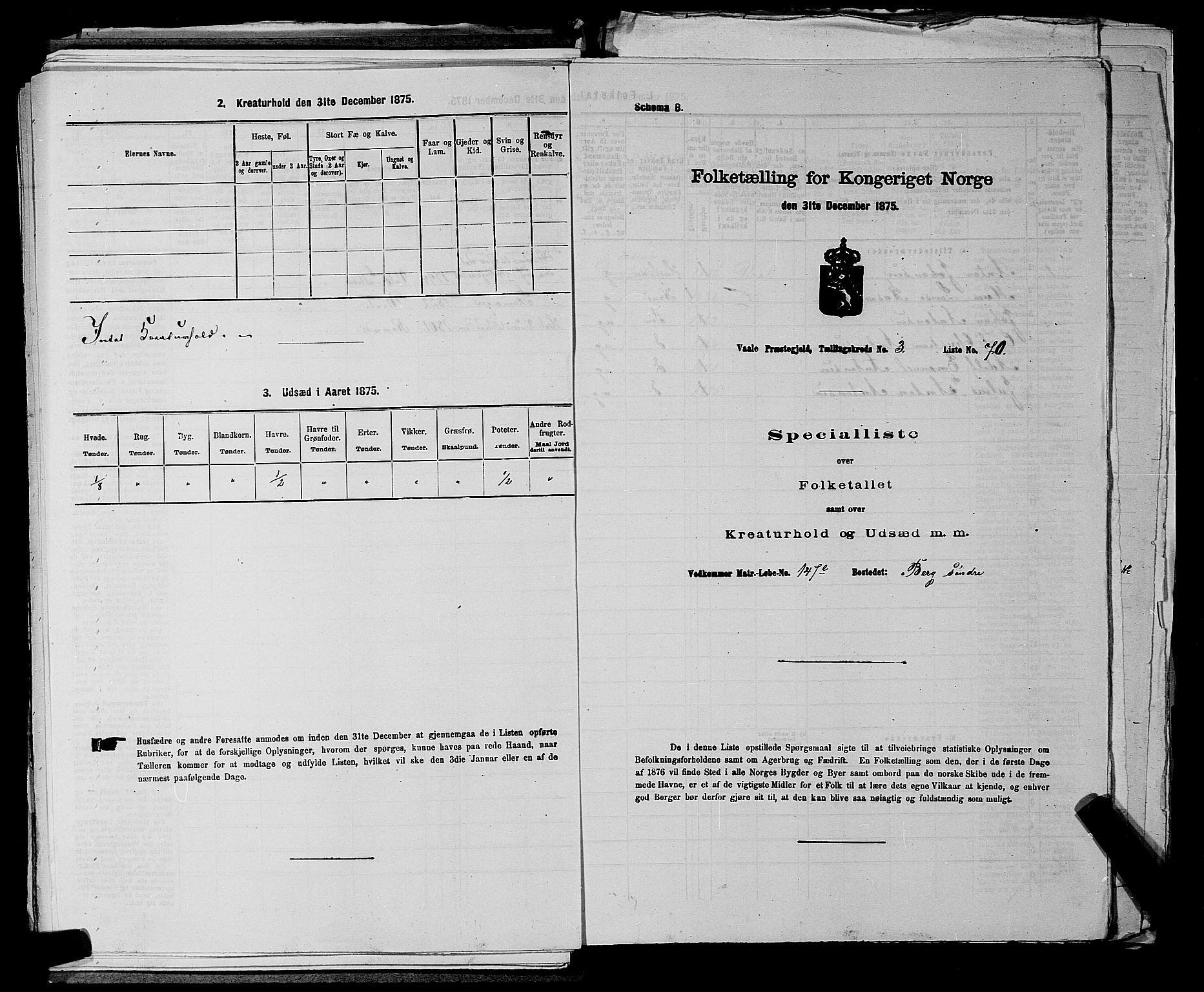 SAKO, 1875 census for 0716P Våle, 1875, p. 505