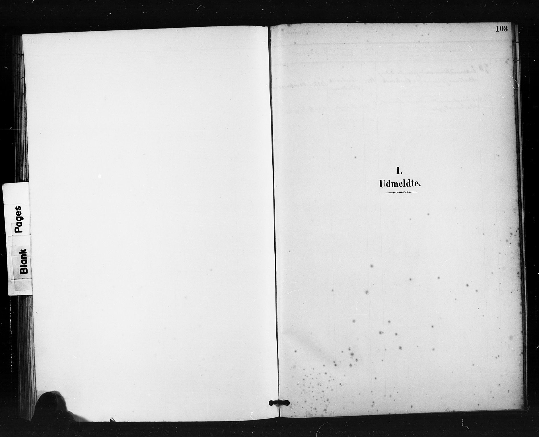 Ministerialprotokoller, klokkerbøker og fødselsregistre - Møre og Romsdal, SAT/A-1454/504/L0056: Parish register (official) no. 504A03, 1884-1904, p. 103