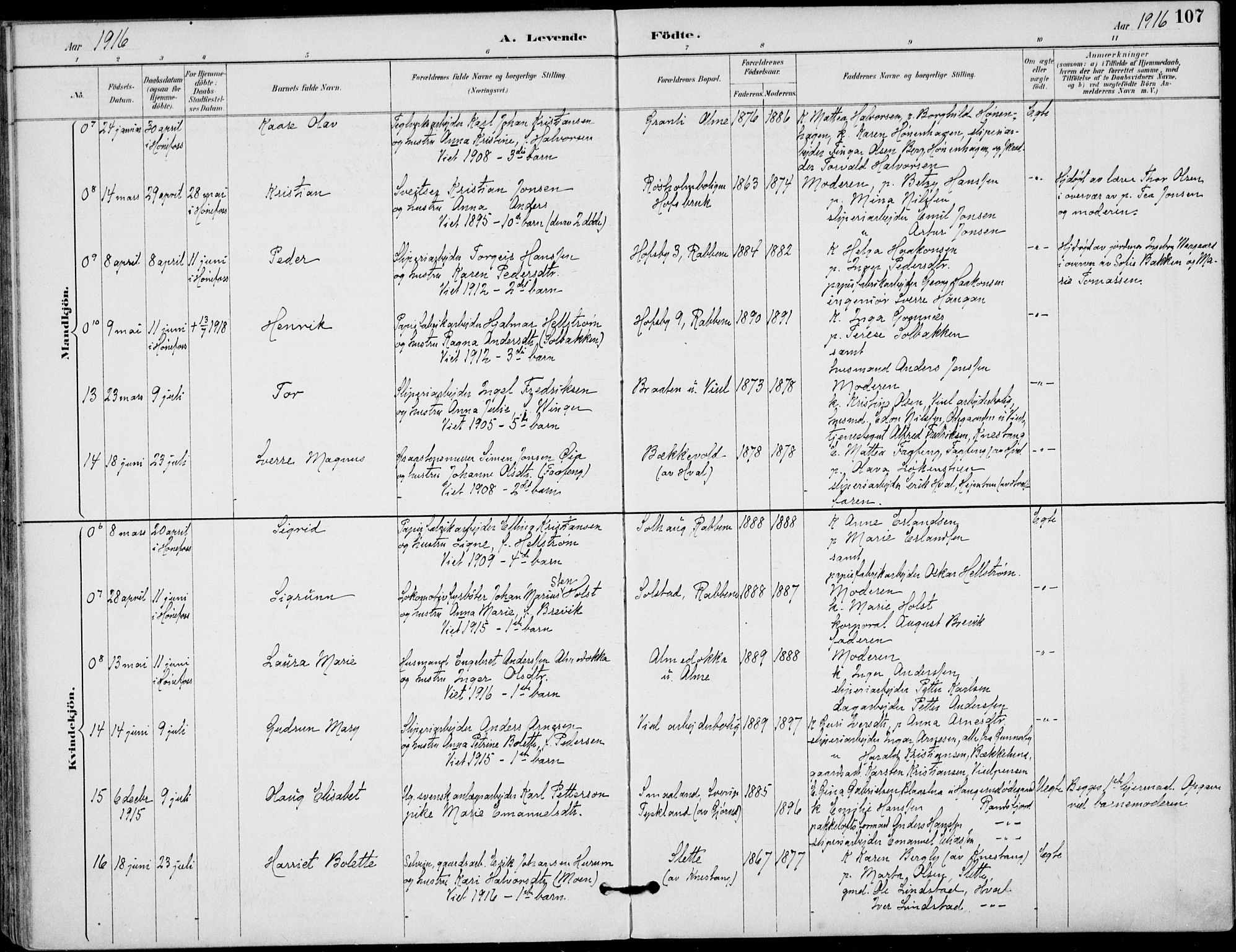 Haug kirkebøker, AV/SAKO-A-604/F/Fa/L0001: Parish register (official) no. 1, 1885-1917, p. 107