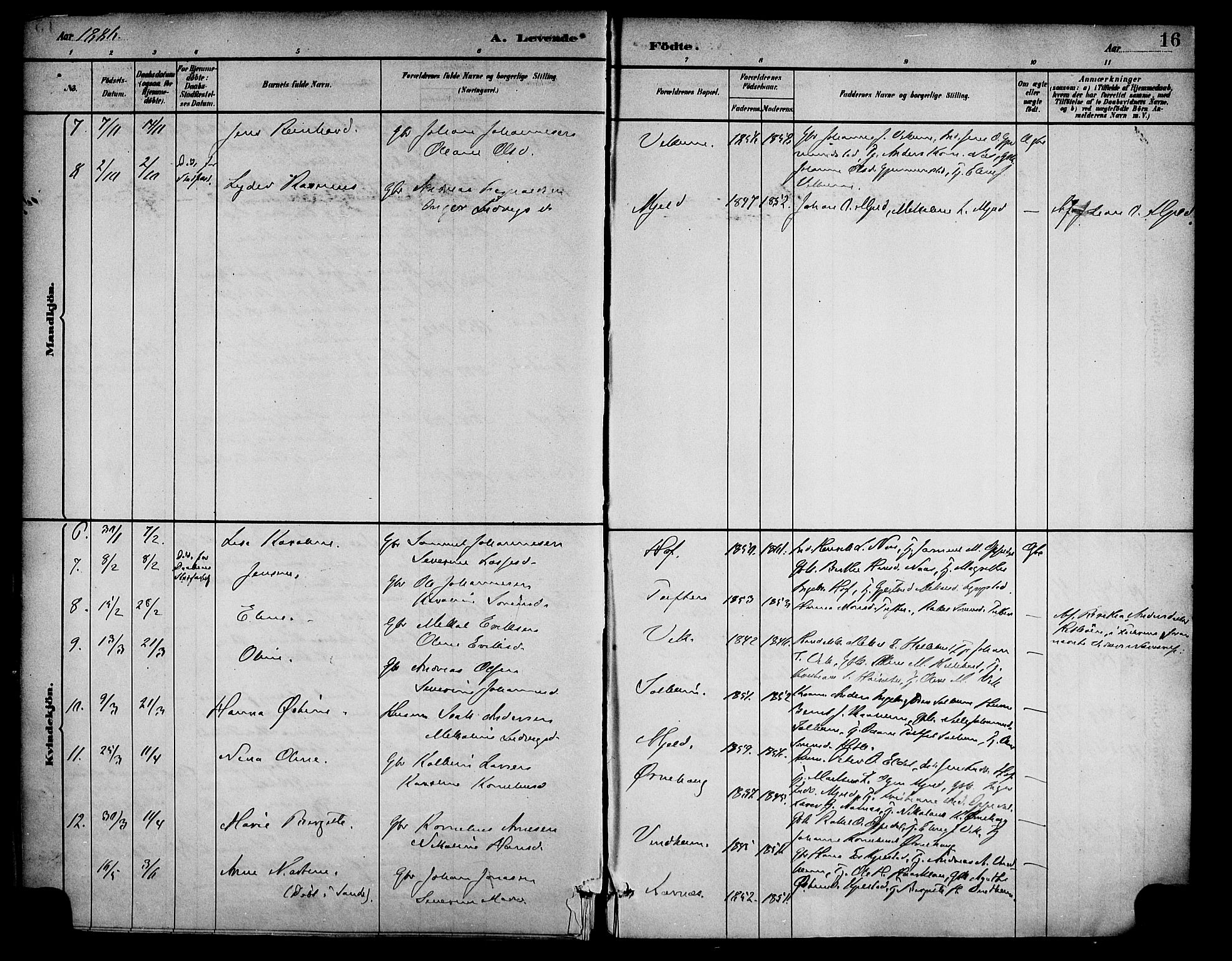 Gaular sokneprestembete, AV/SAB-A-80001/H/Haa: Parish register (official) no. D 1, 1882-1899, p. 16