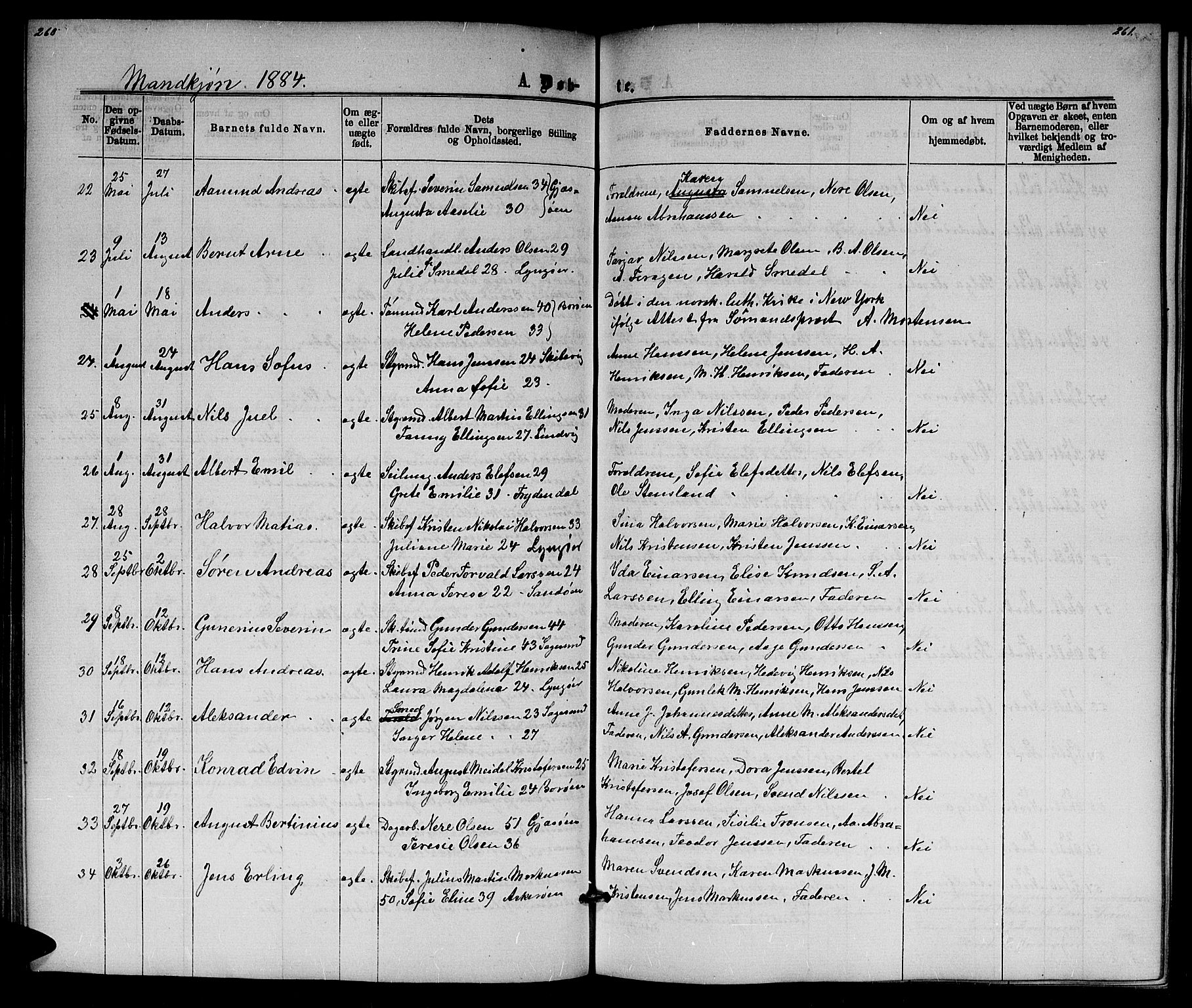 Dypvåg sokneprestkontor, AV/SAK-1111-0007/F/Fb/Fba/L0012: Parish register (copy) no. B 12, 1872-1886, p. 260-261