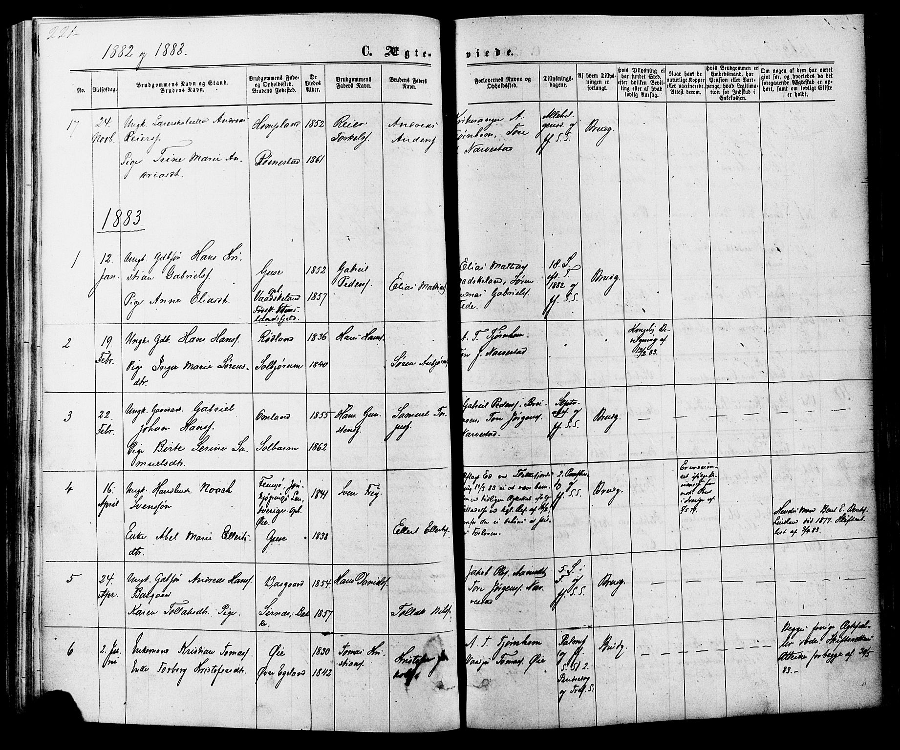 Kvinesdal sokneprestkontor, AV/SAK-1111-0026/F/Fa/Fab/L0007: Parish register (official) no. A 7, 1870-1885, p. 221